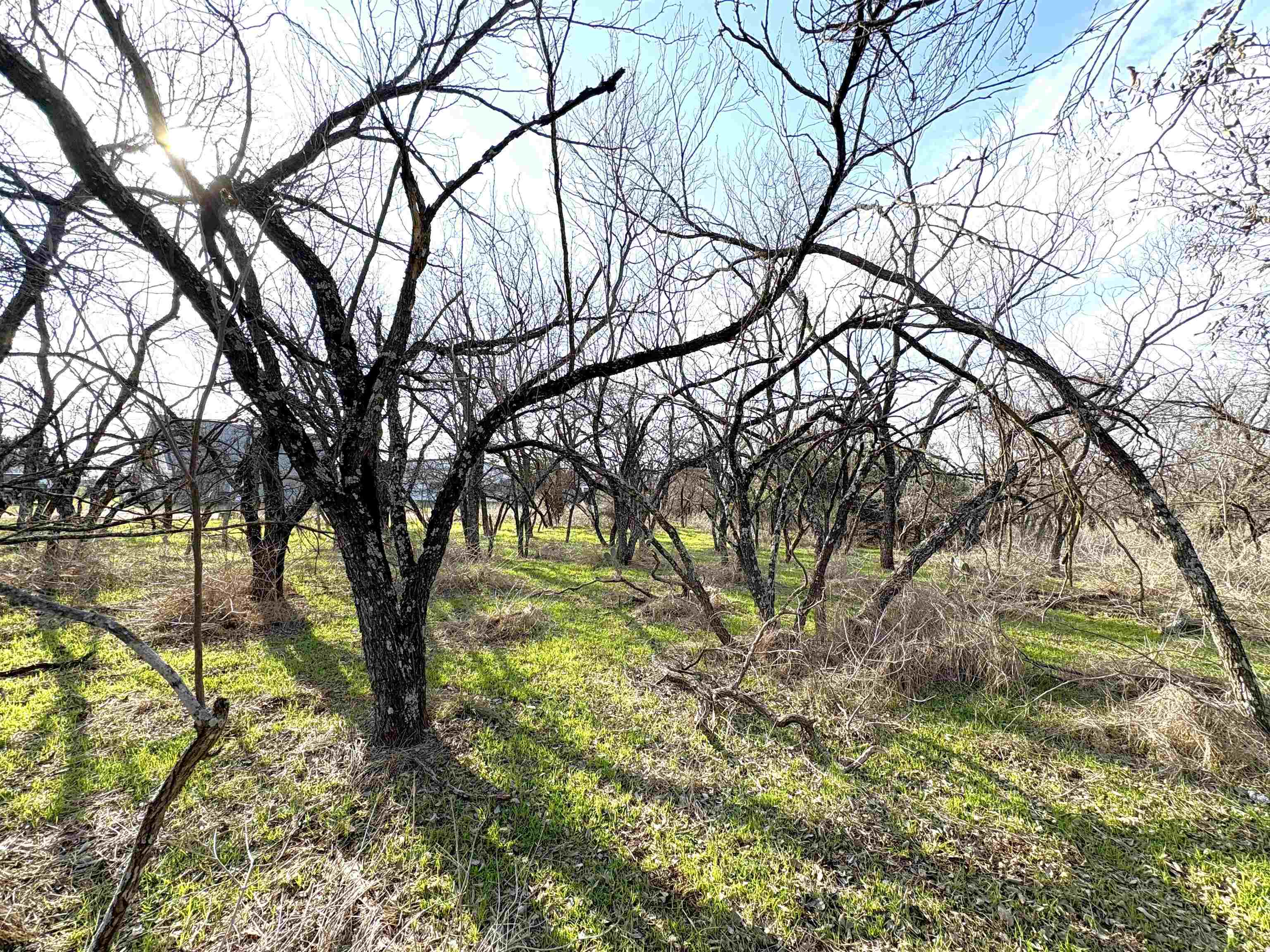 Tbd Granite Shoals Dr Property Photo 9