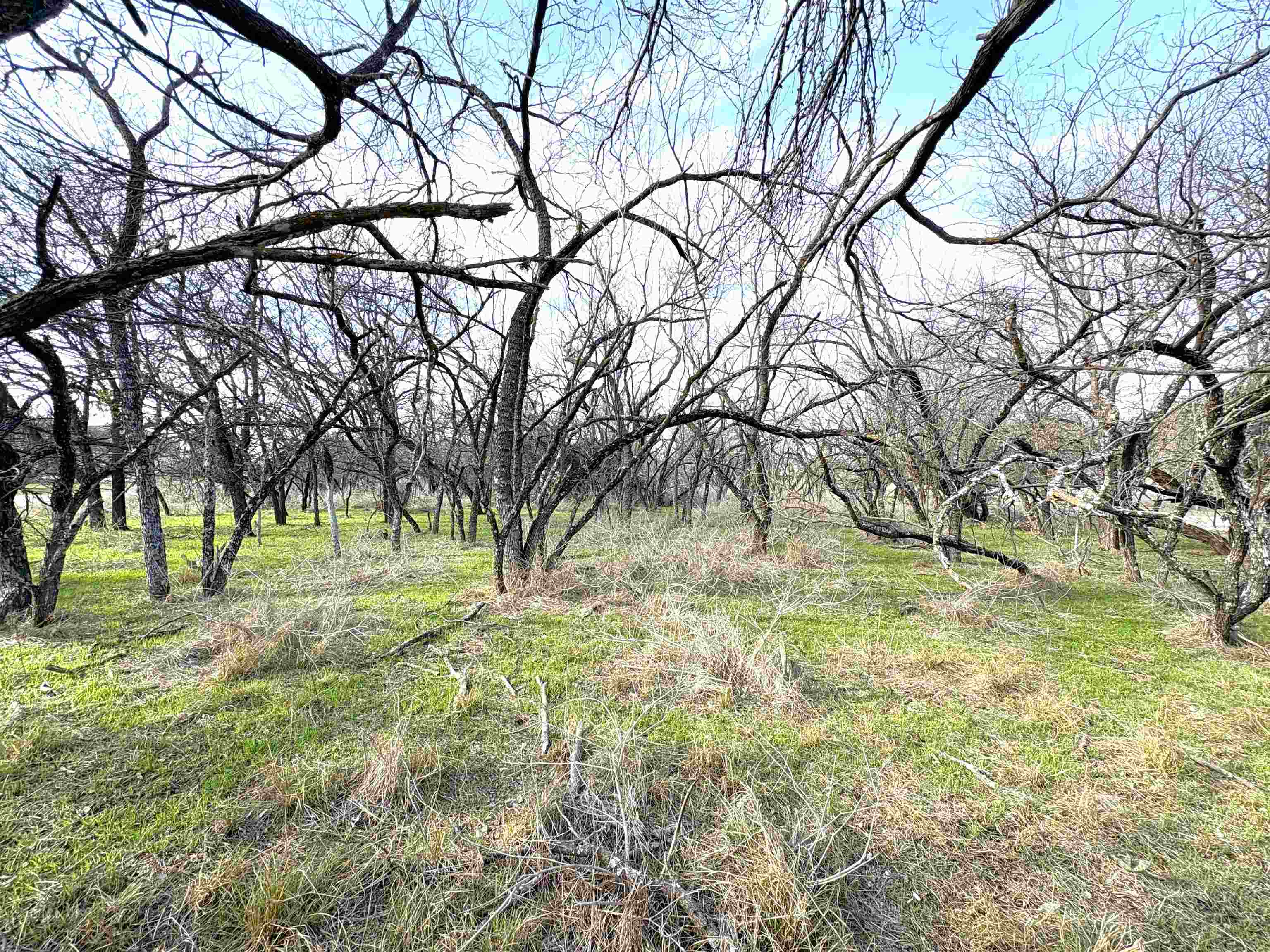 Tbd Granite Shoals Dr Property Photo 10