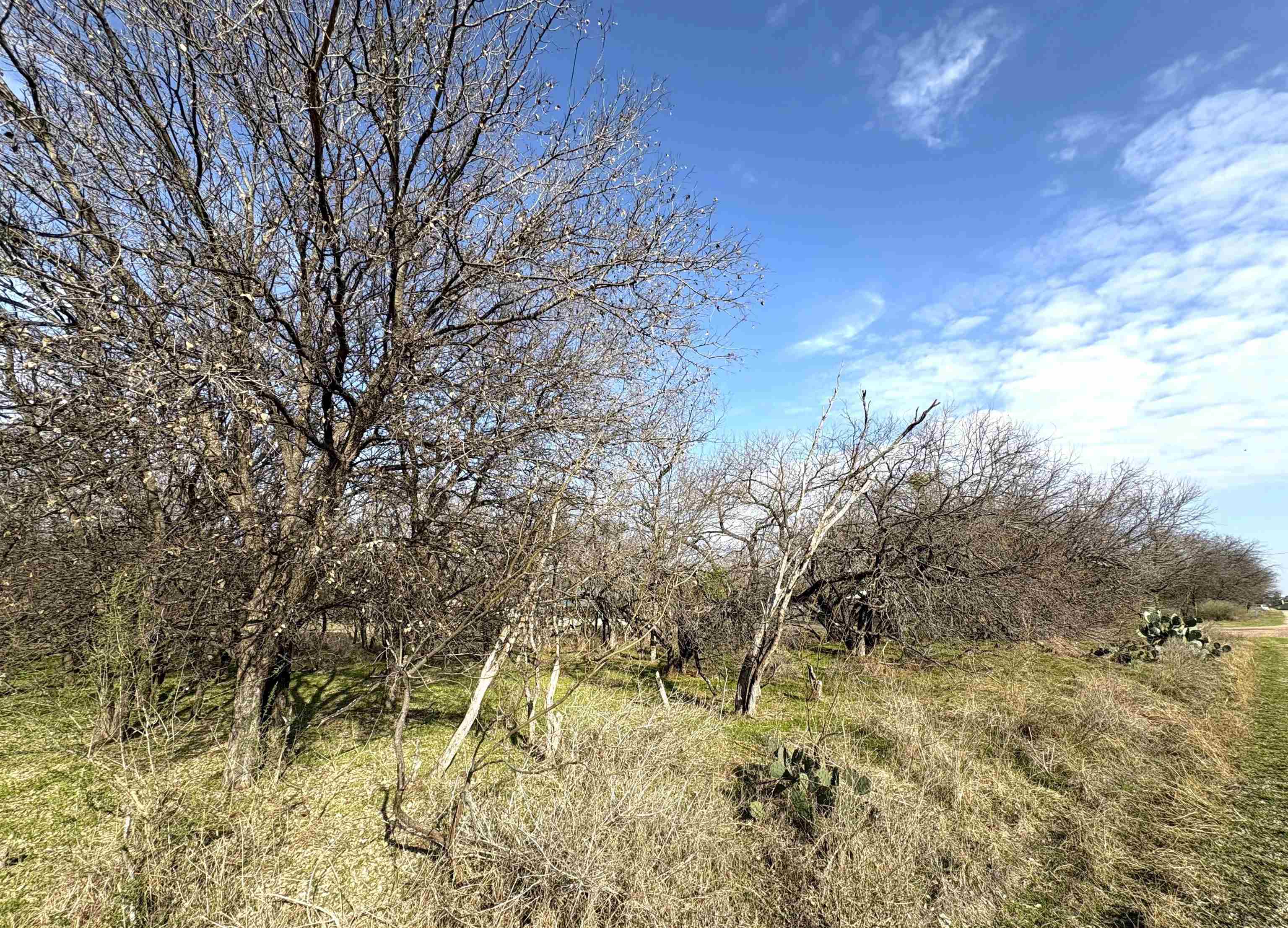 Tbd Granite Shoals Dr Property Photo 13