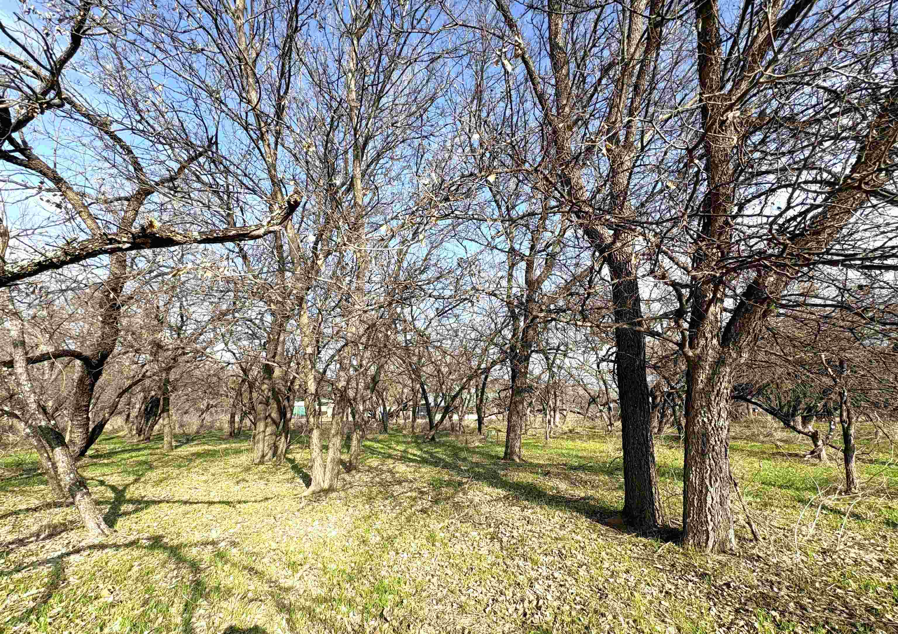 Tbd Granite Shoals Dr Property Photo 14