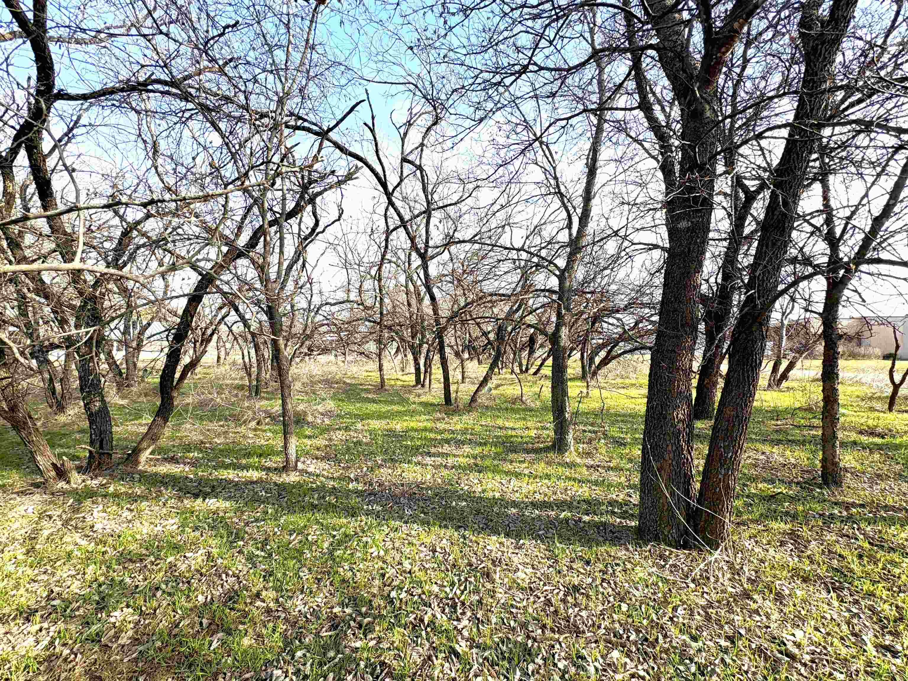 Tbd Granite Shoals Dr Property Photo 15