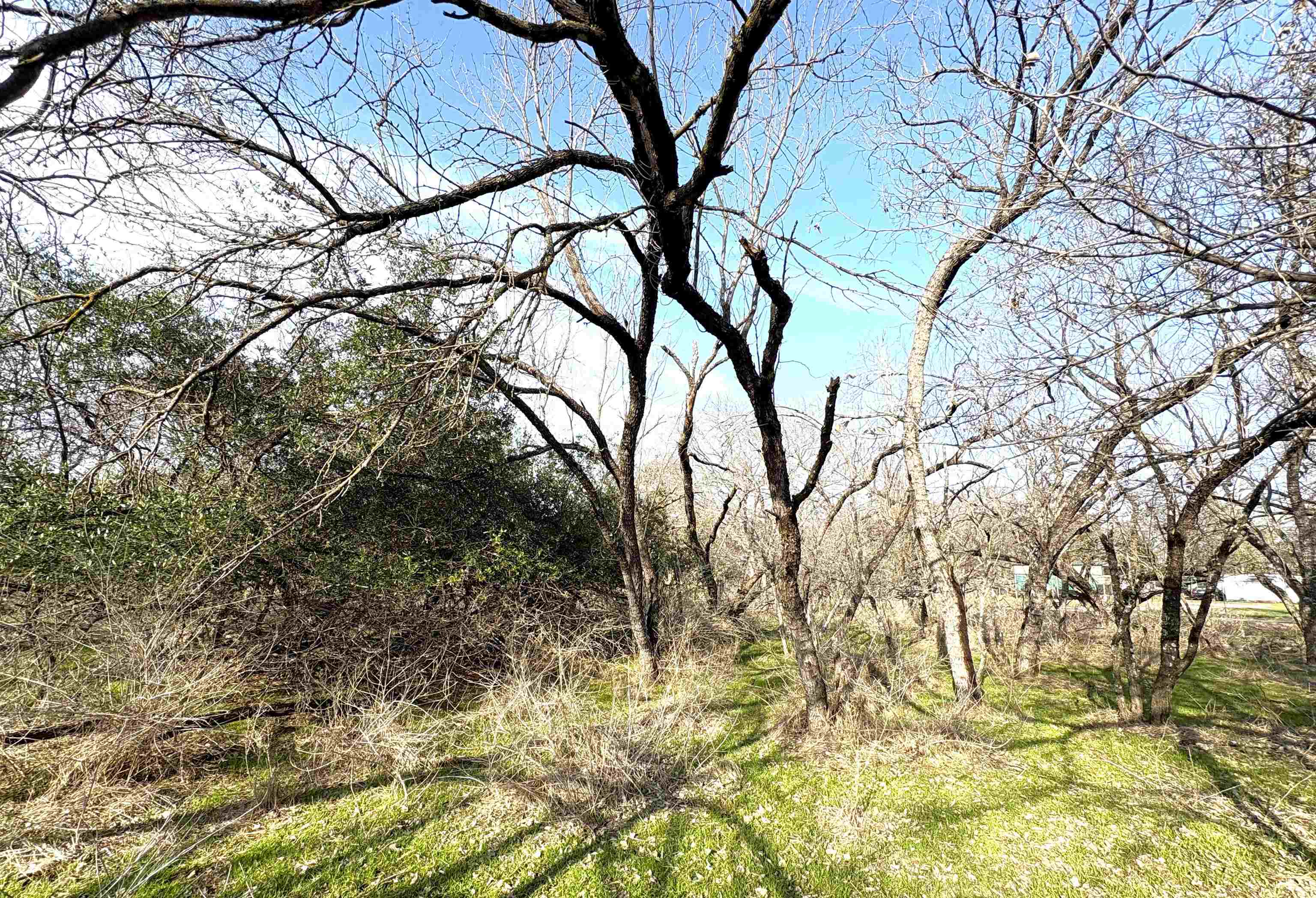 Tbd Granite Shoals Dr Property Photo 16