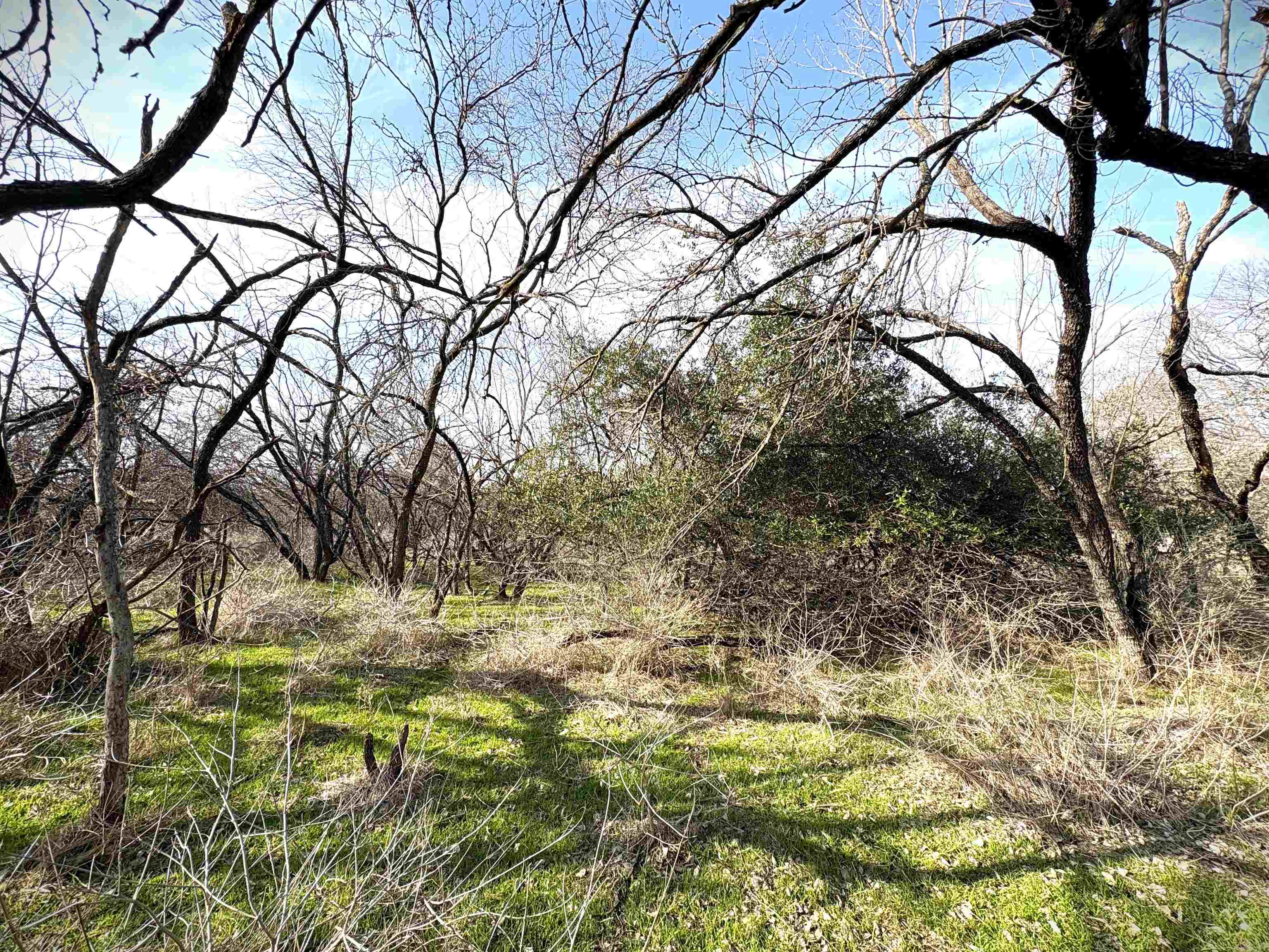 Tbd Granite Shoals Dr Property Photo 17