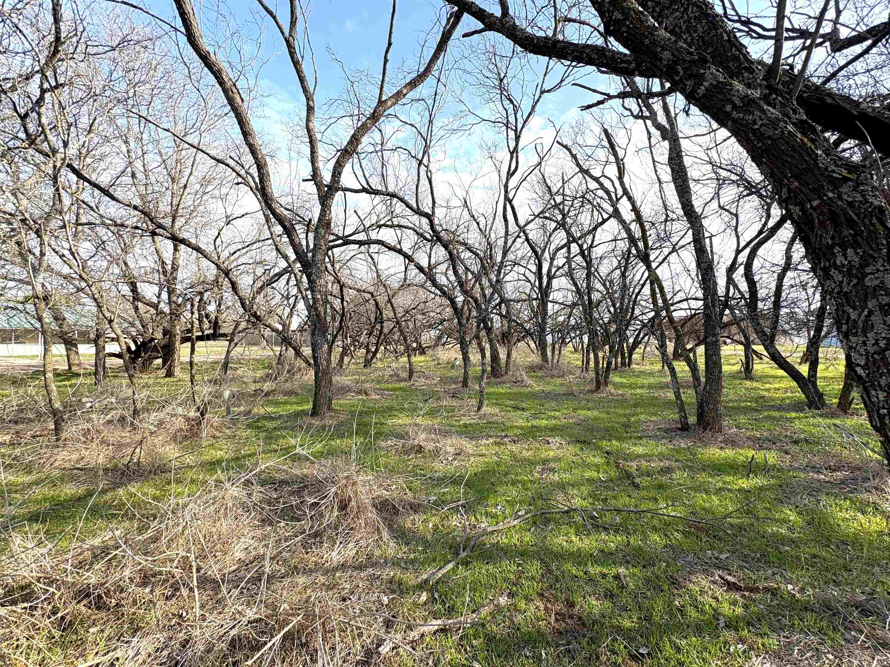 Tbd Granite Shoals Dr Property Photo 18