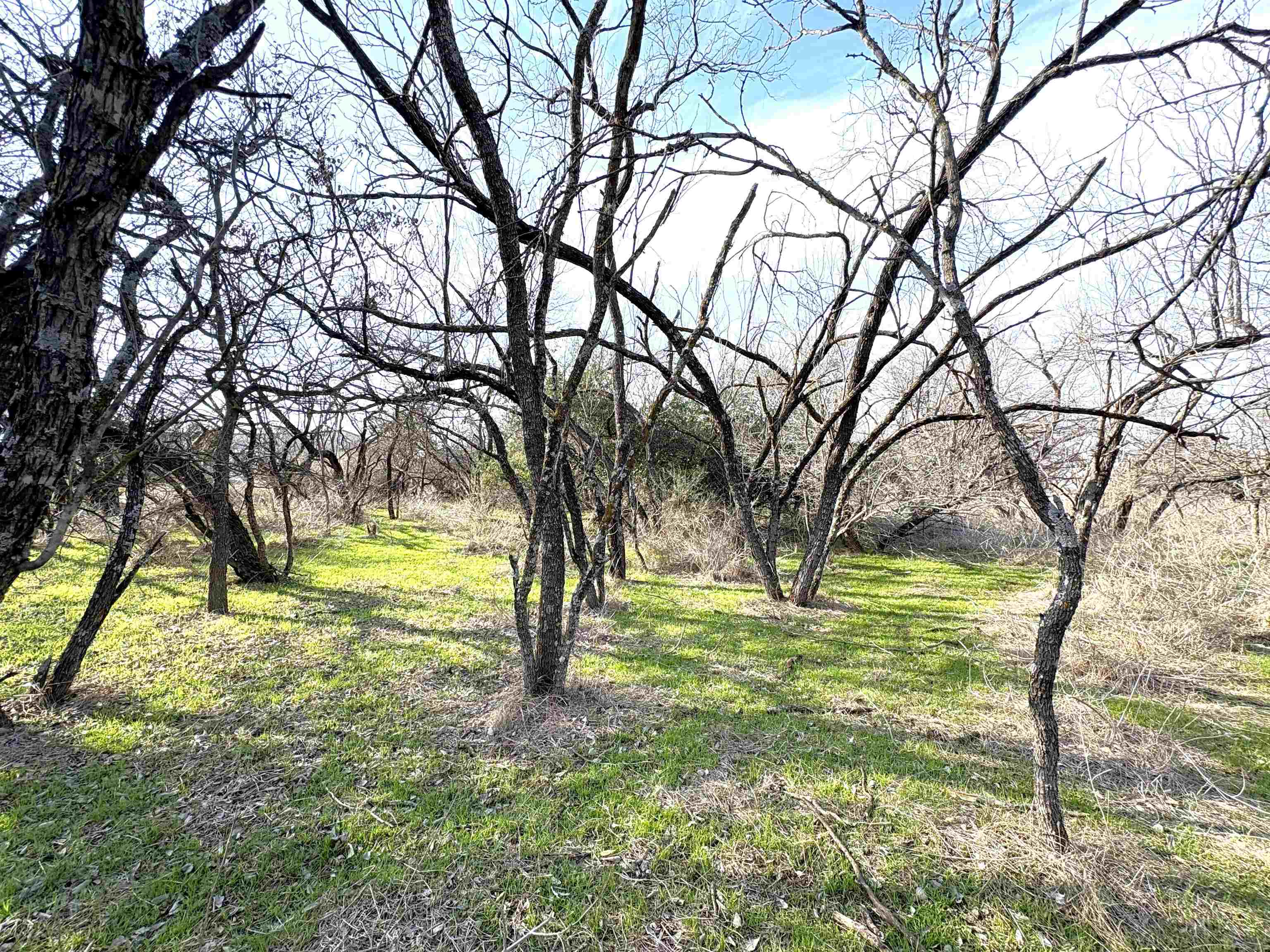 Tbd Granite Shoals Dr Property Photo 19