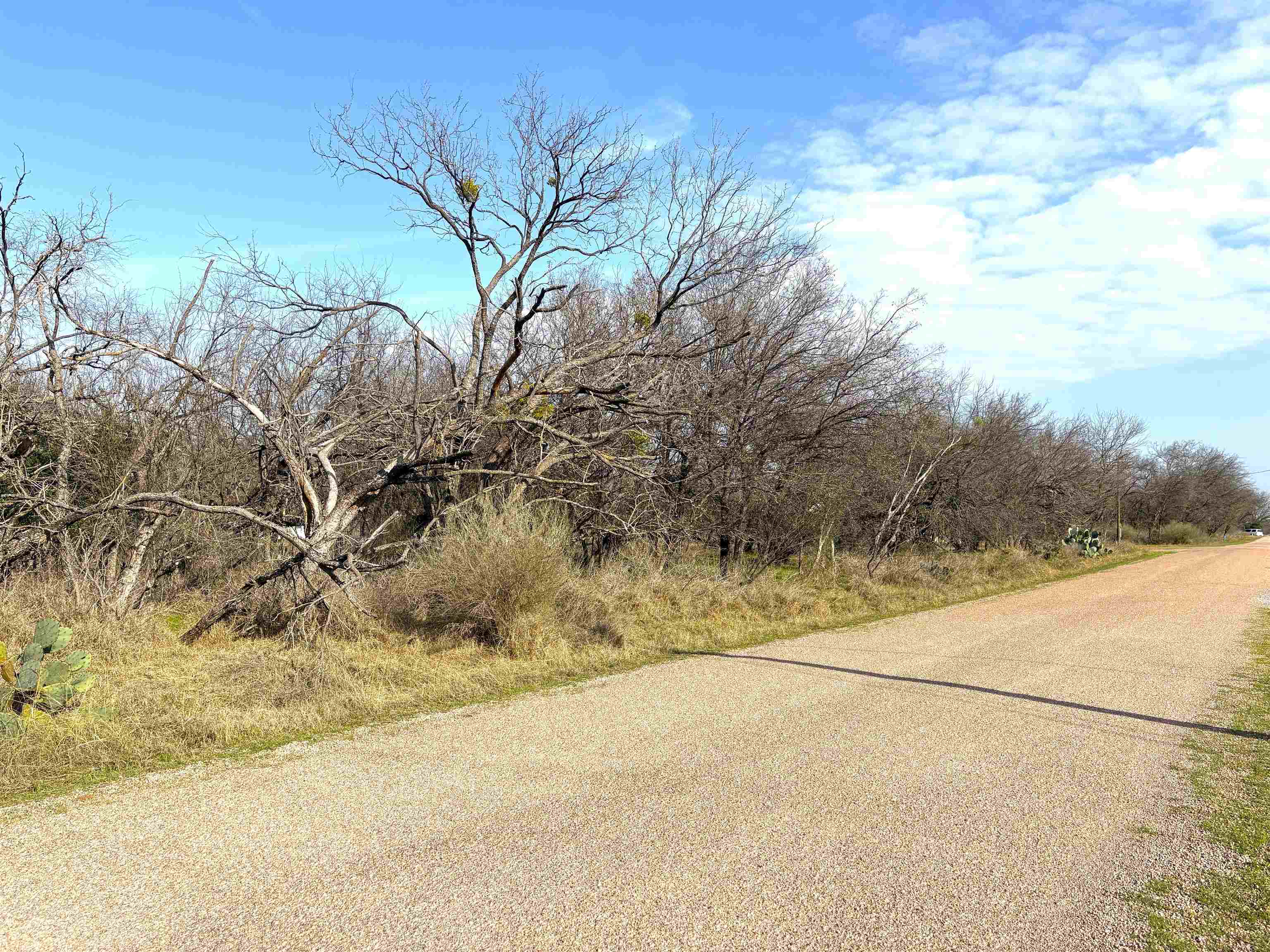 Tbd Granite Shoals Dr Property Photo 20