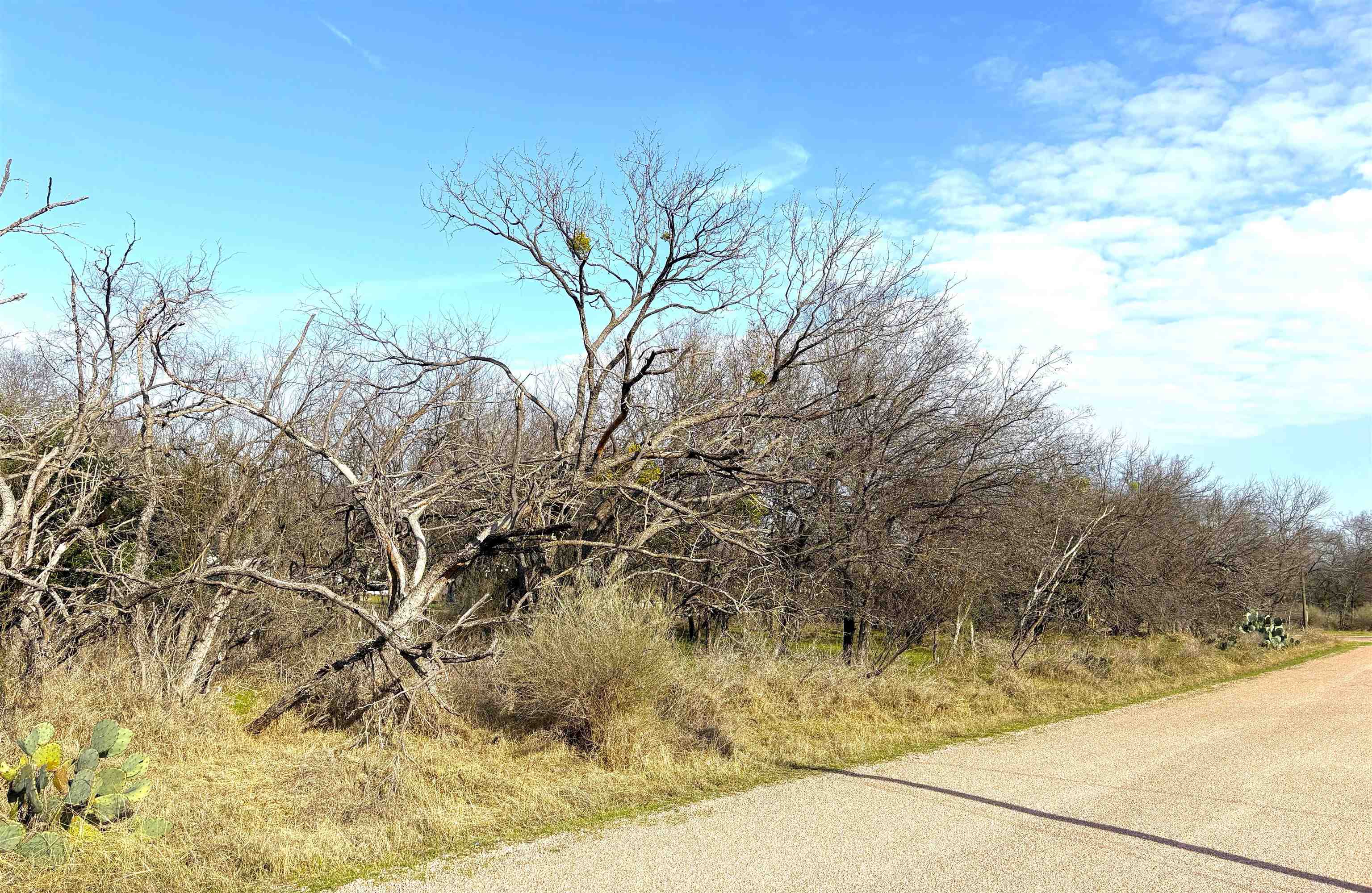 Tbd Granite Shoals Dr Property Photo 21