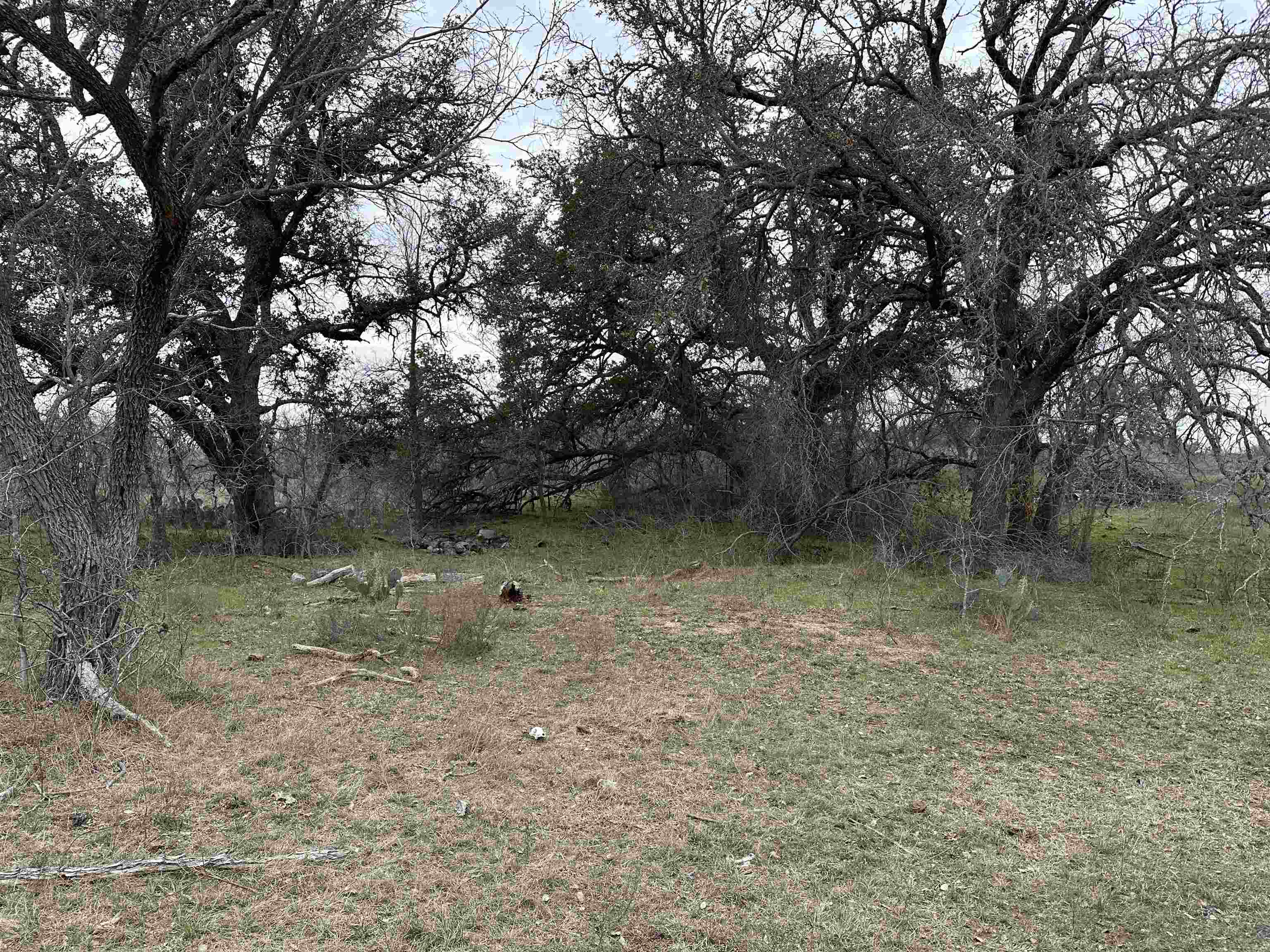 9000 Cr 216 Property Photo 5