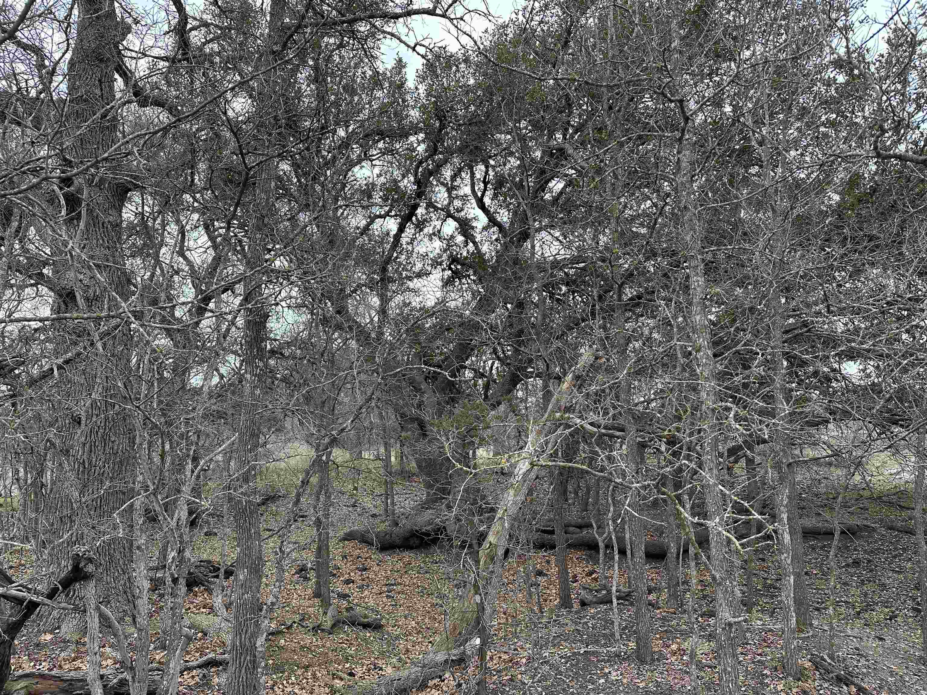 9000 Cr 216 Property Photo 7