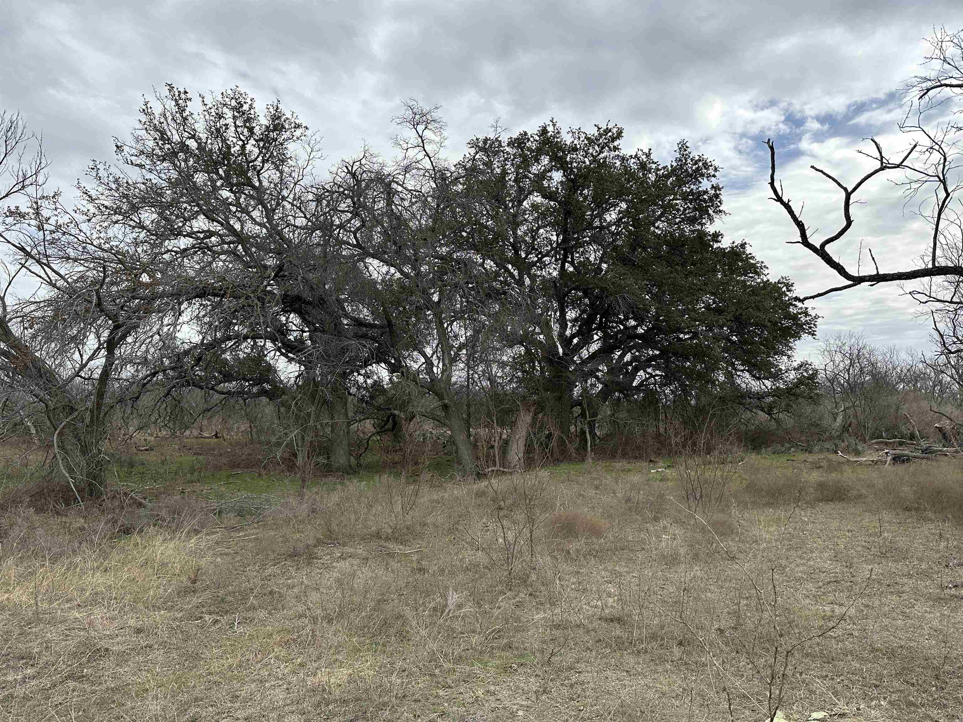 9000 Cr 216 Property Photo 8