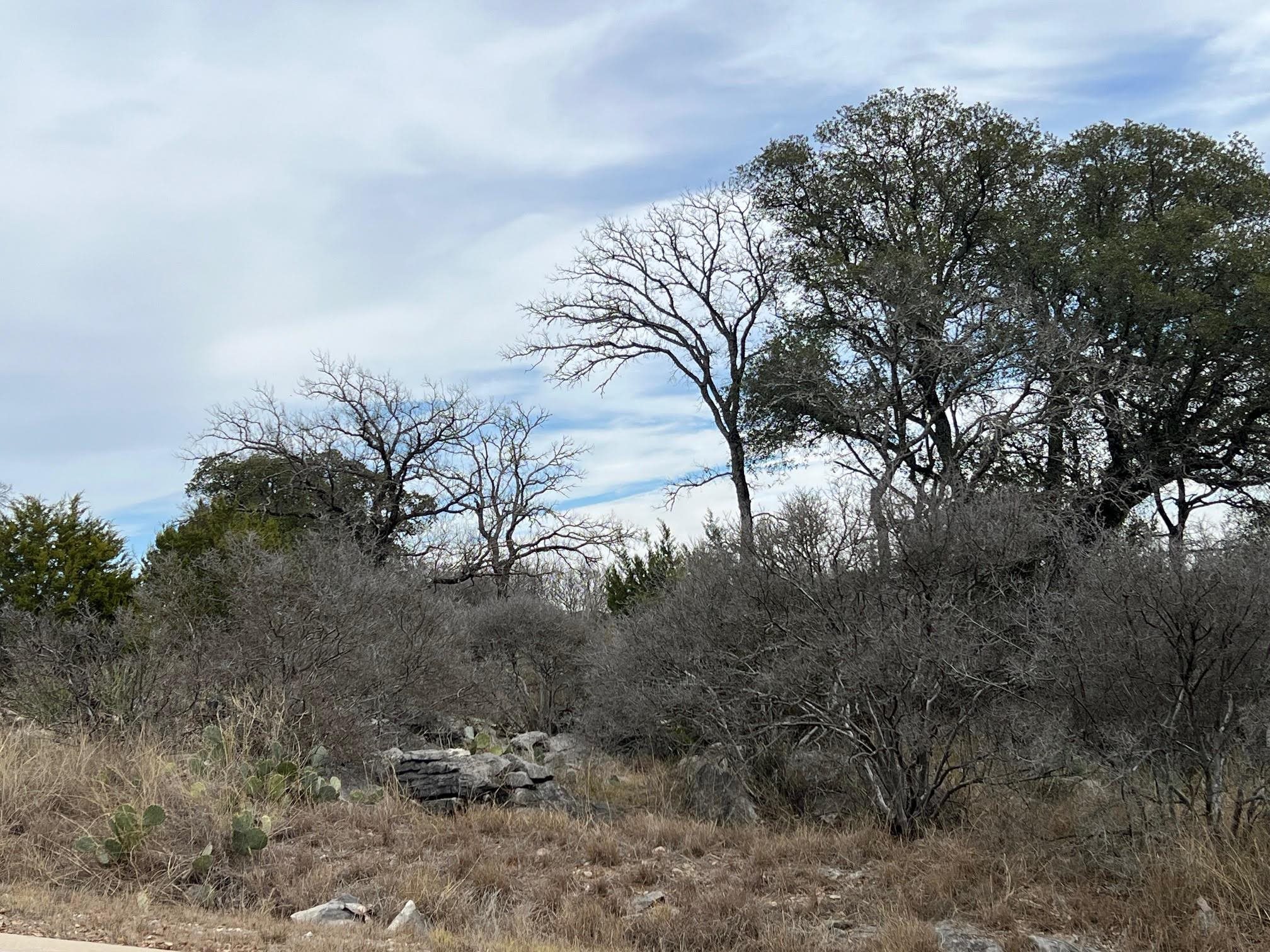 Lot 13092 Air Park Drive Property Photo 1