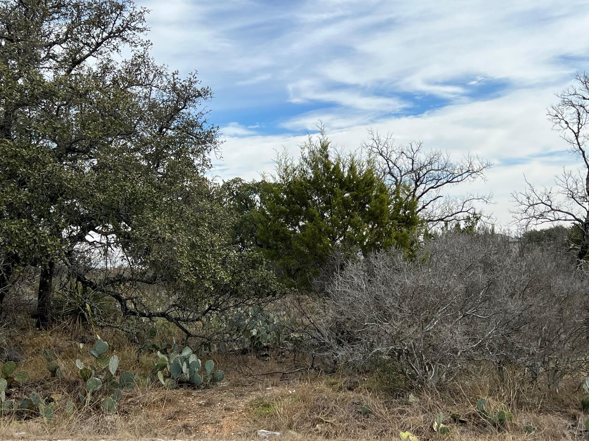 Lot 13092 Air Park Drive Property Photo 2