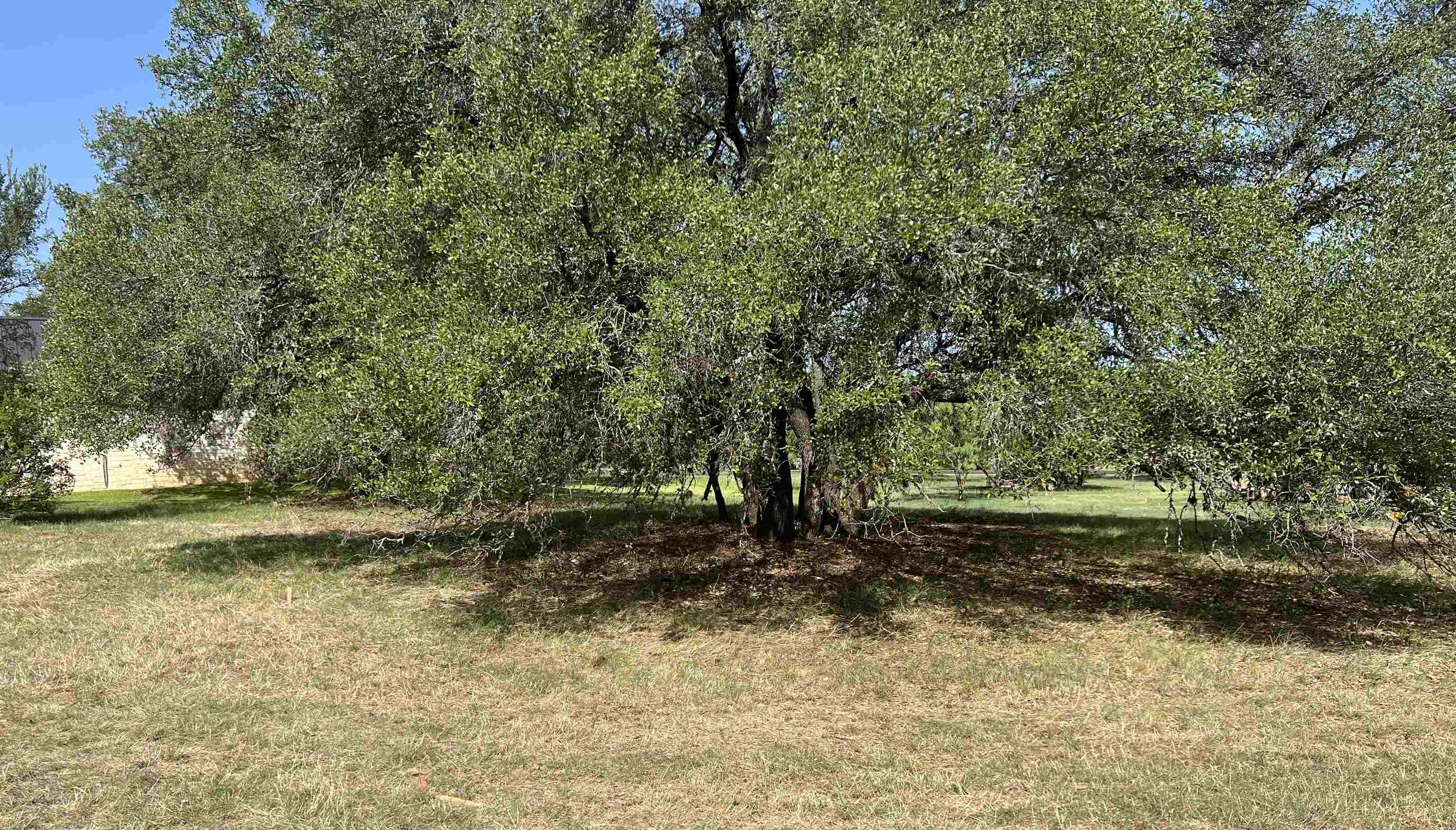 2108 Fault Line Drive Property Photo 17