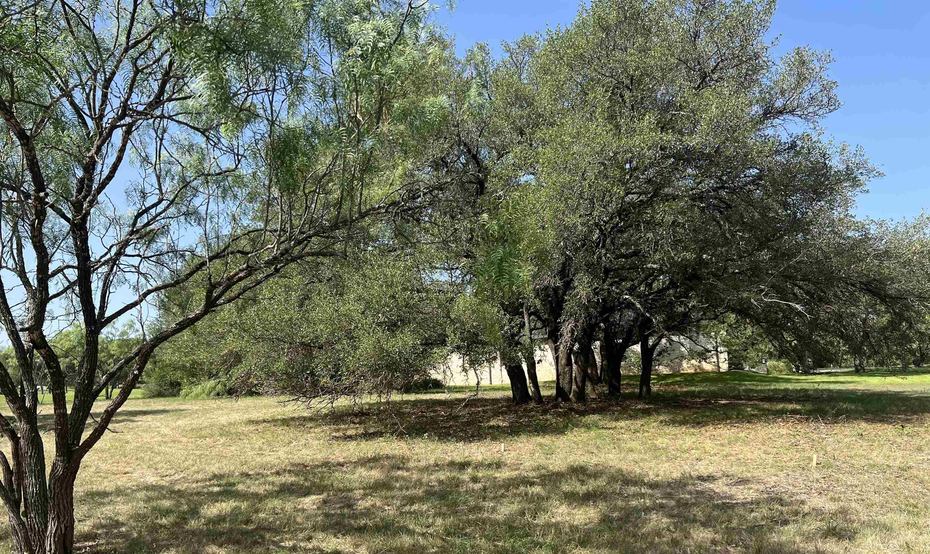 2108 Fault Line Drive Property Photo 22