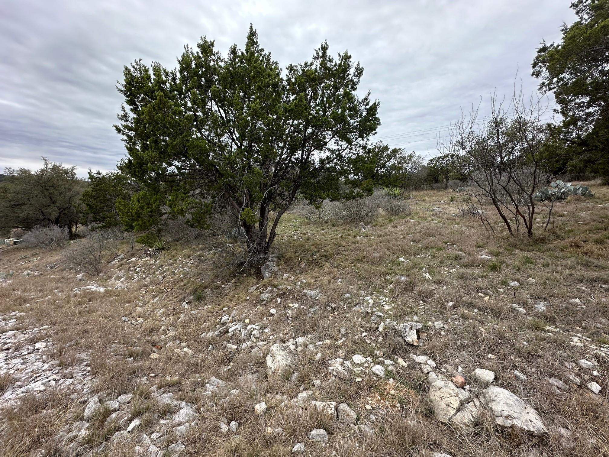 24152 & 24153 Hi Mesa Property Photo 6