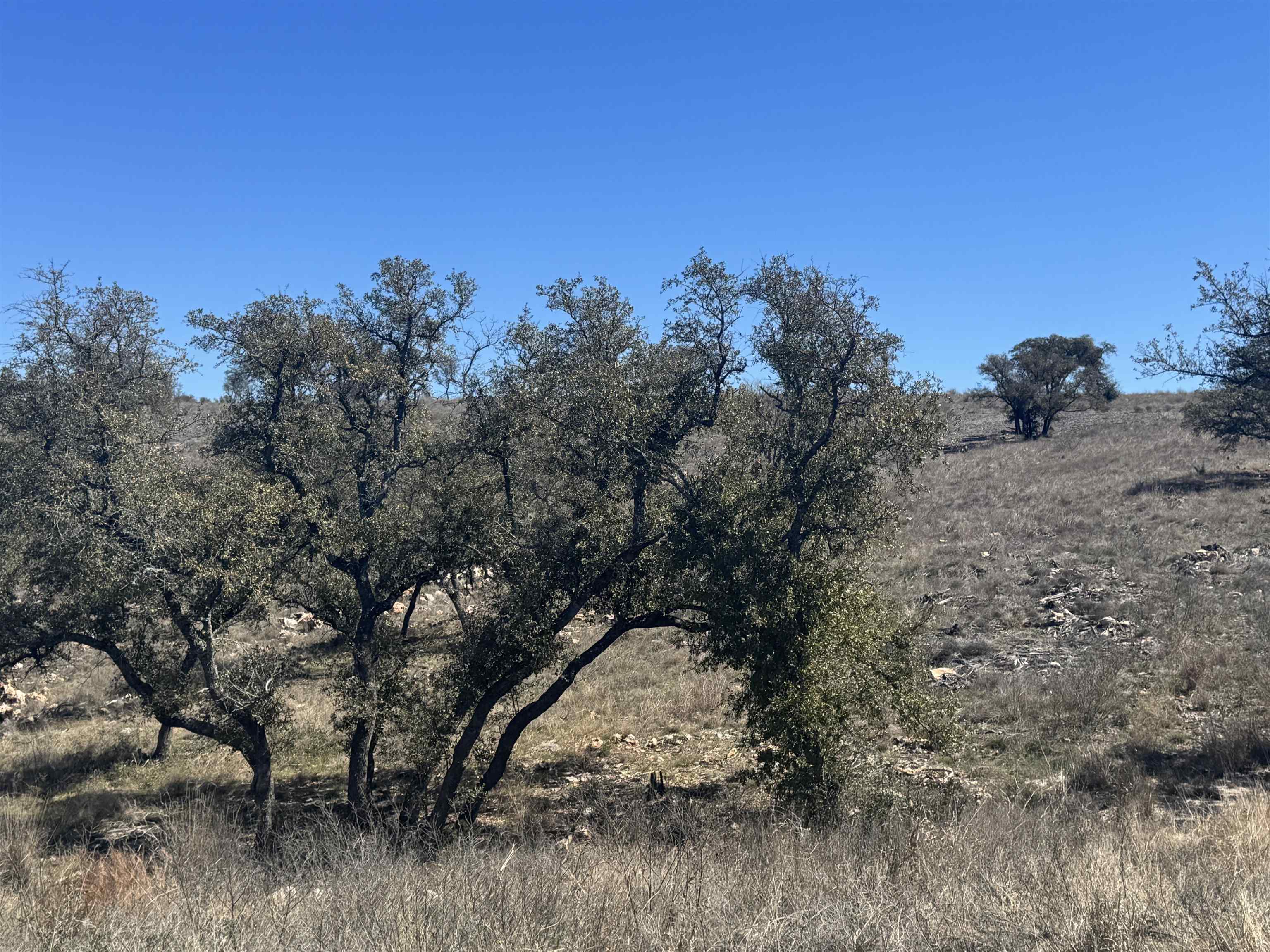 Lot 203 Westridge Way Property Photo 7
