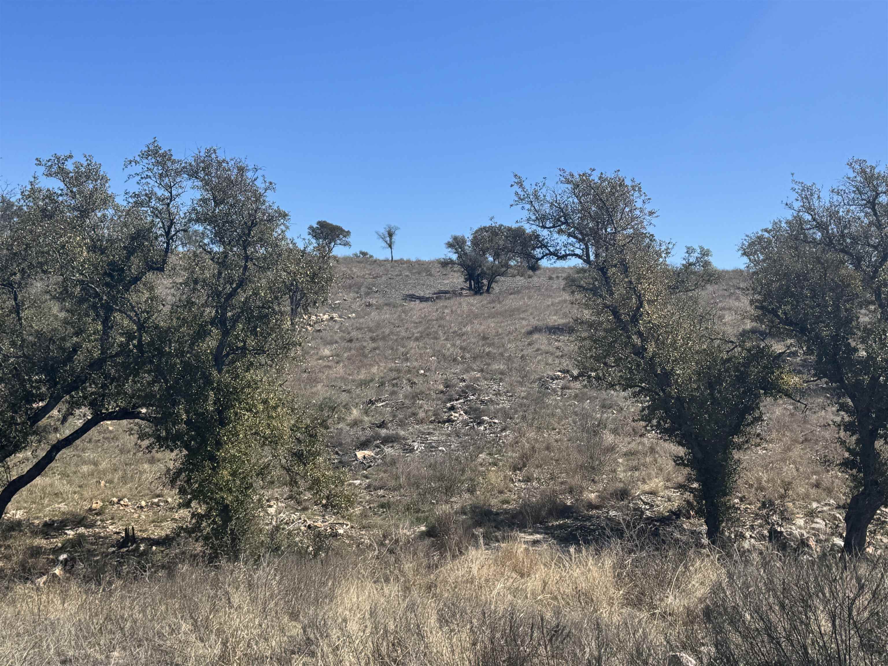 Lot 203 Westridge Way Property Photo 8