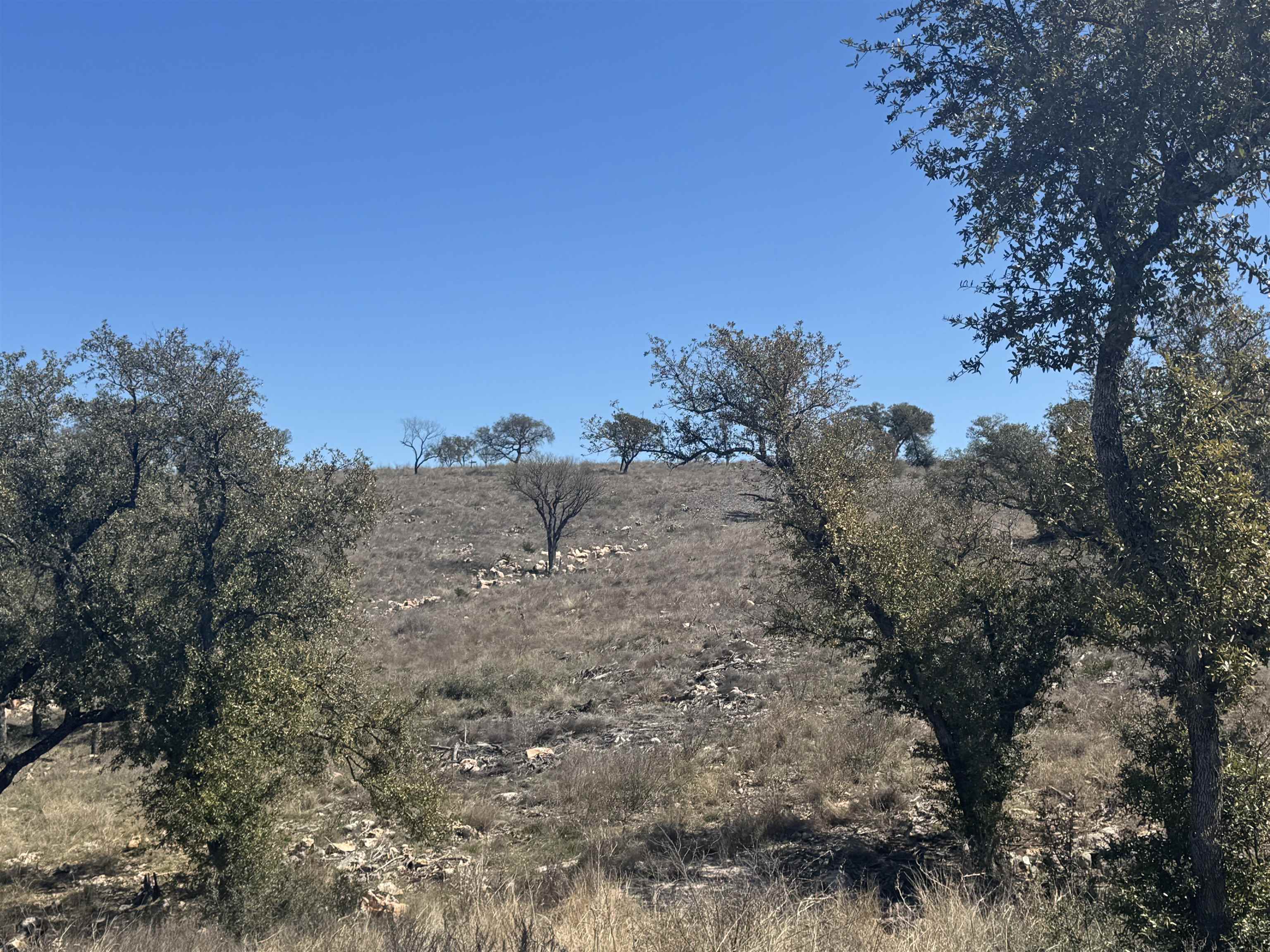 Lot 203 Westridge Way Property Photo 9