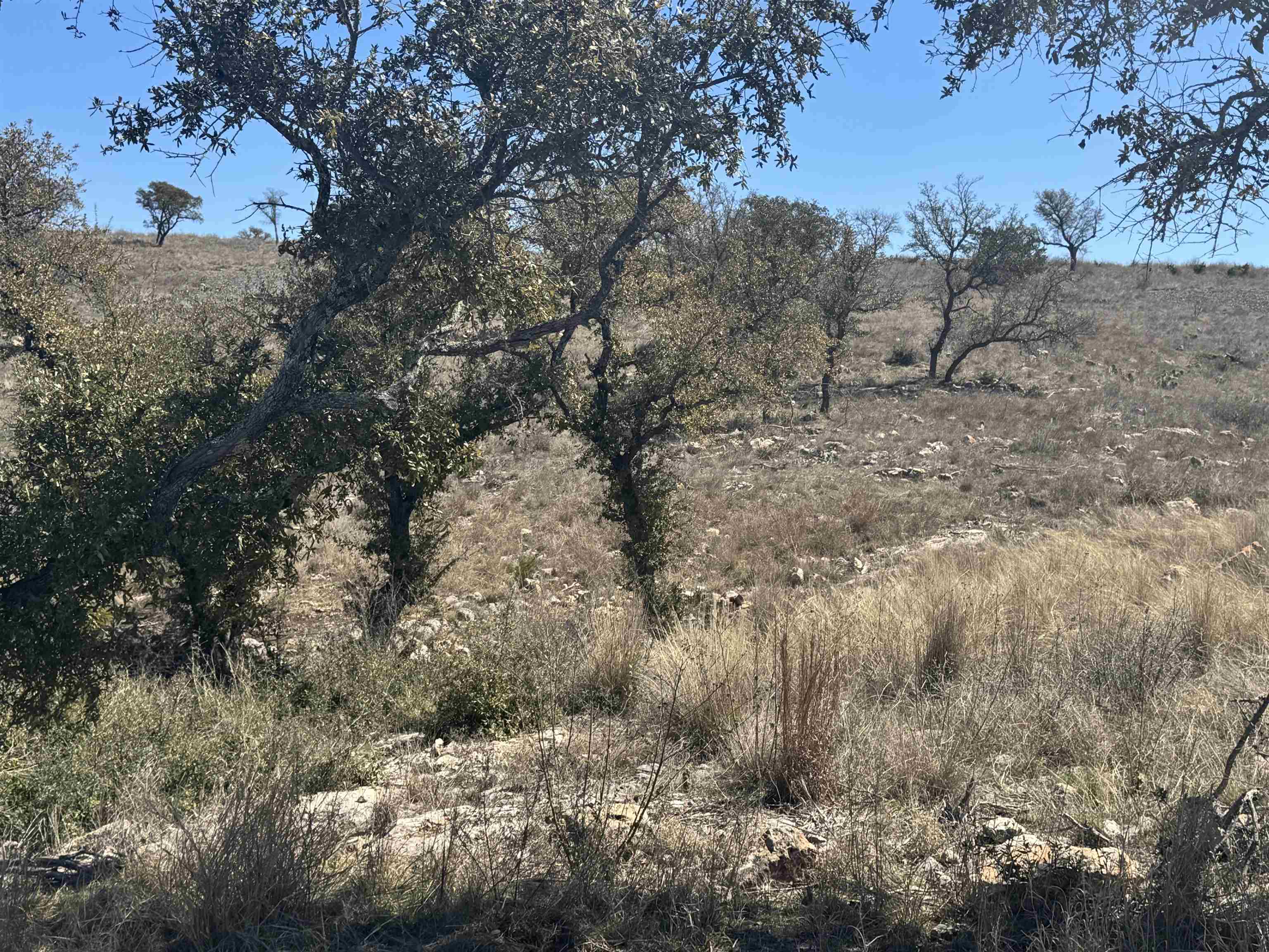 Lot 203 Westridge Way Property Photo 11
