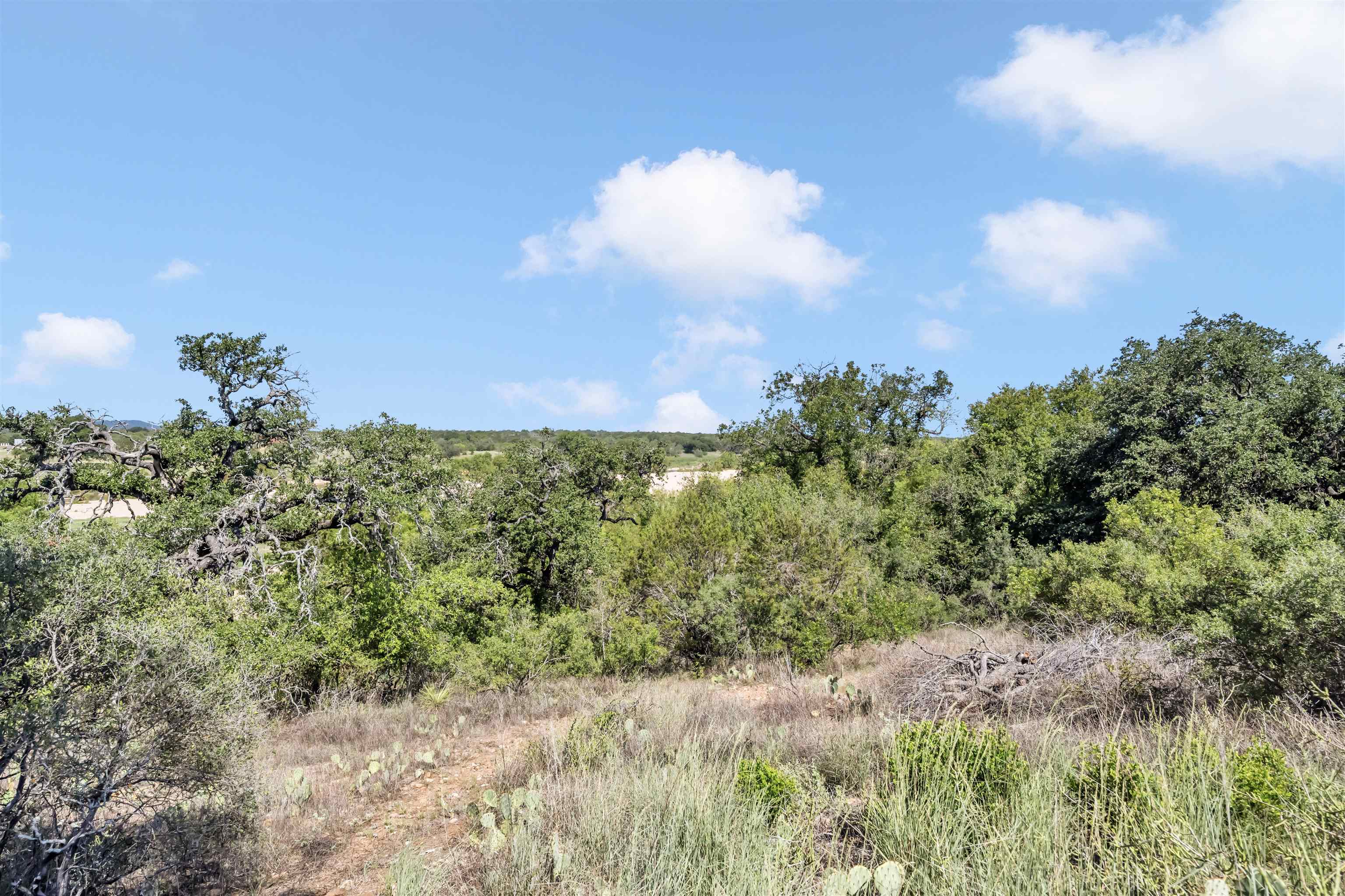 Lots 76-79 River Oaks Drive Property Photo 15