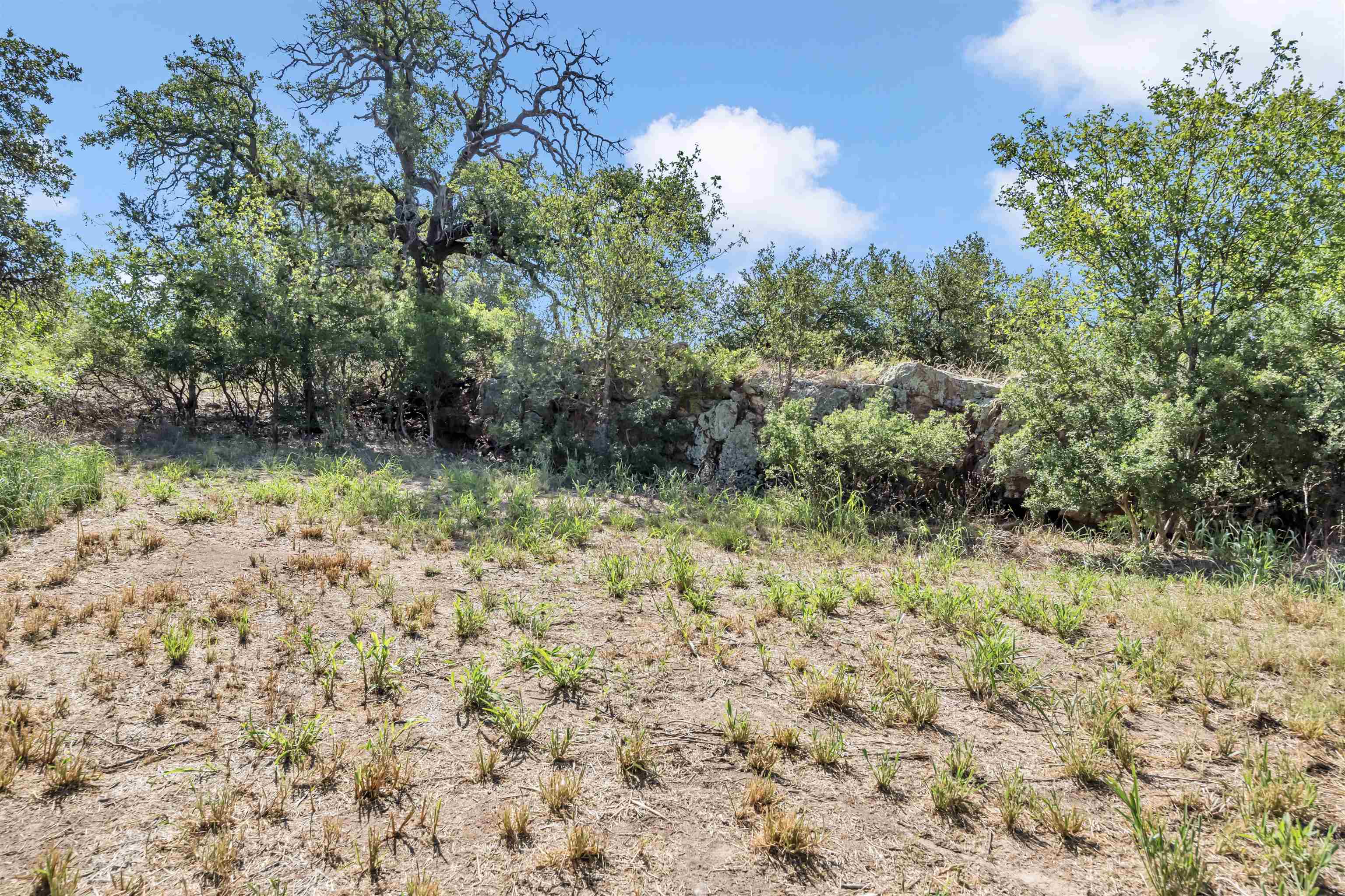 Lots 76-77 River Oaks Drive Property Photo 16