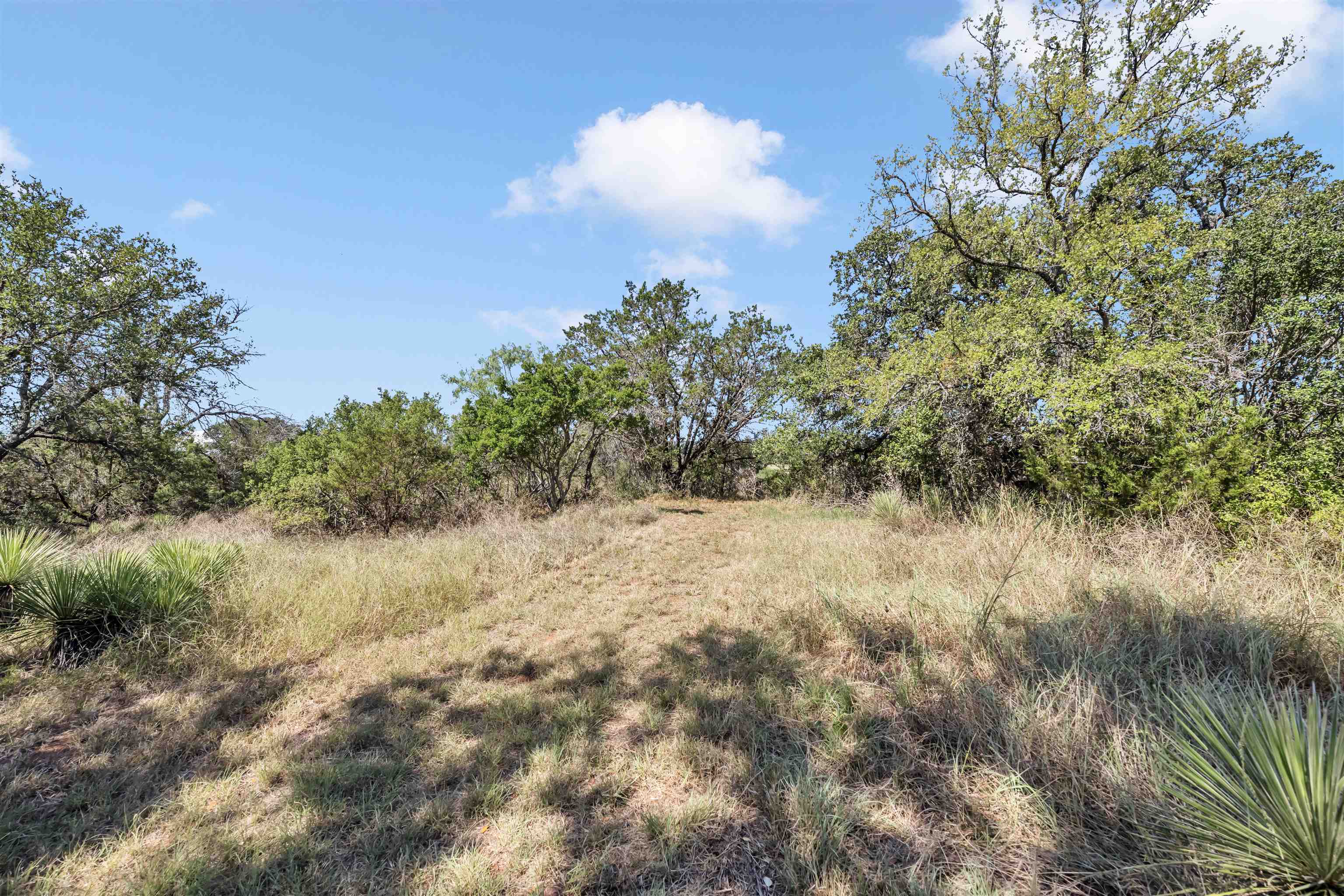 Lots 76-77 River Oaks Drive Property Photo 19
