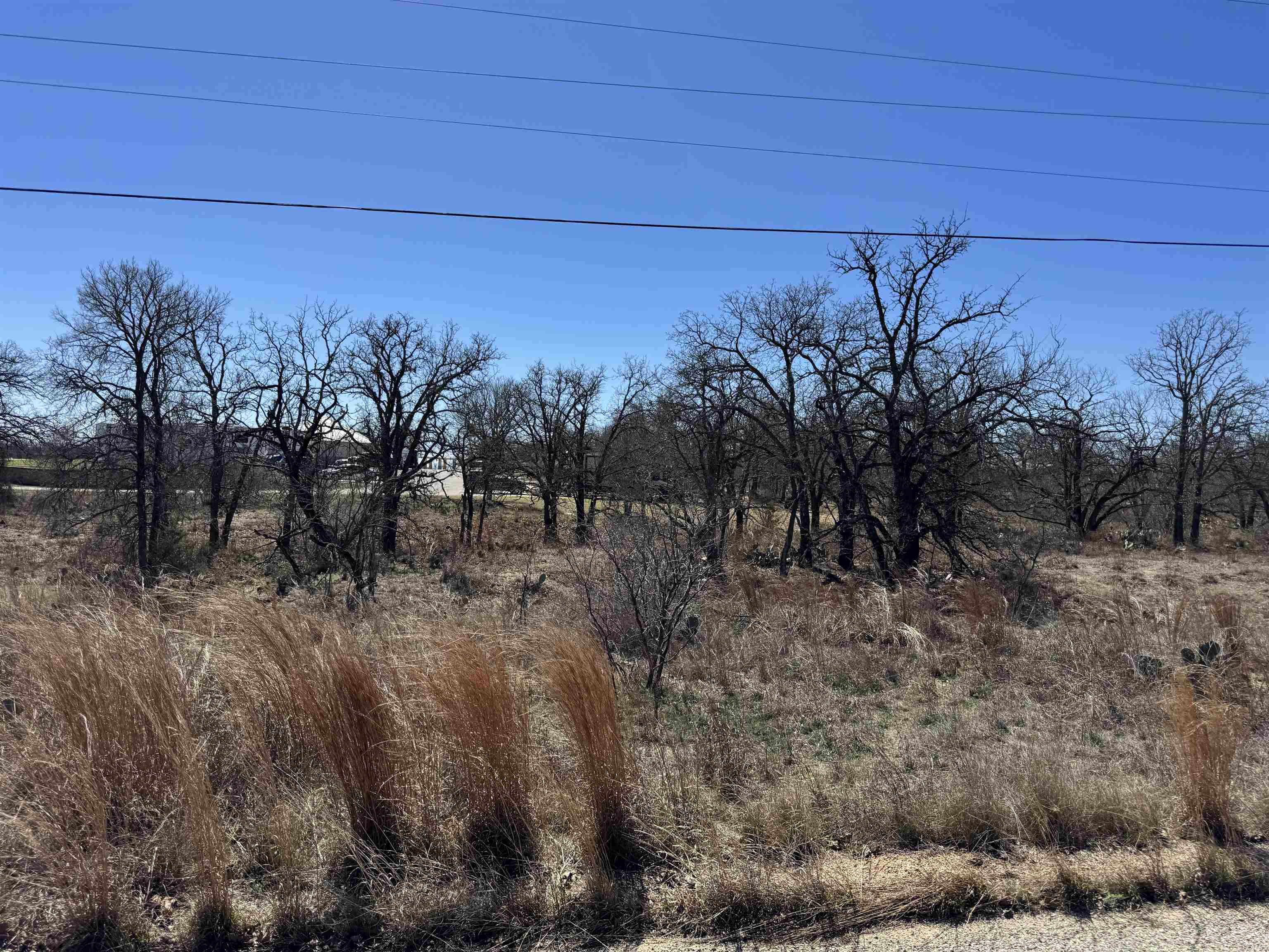 Lot 145 Woodlawn Drive Property Photo 4