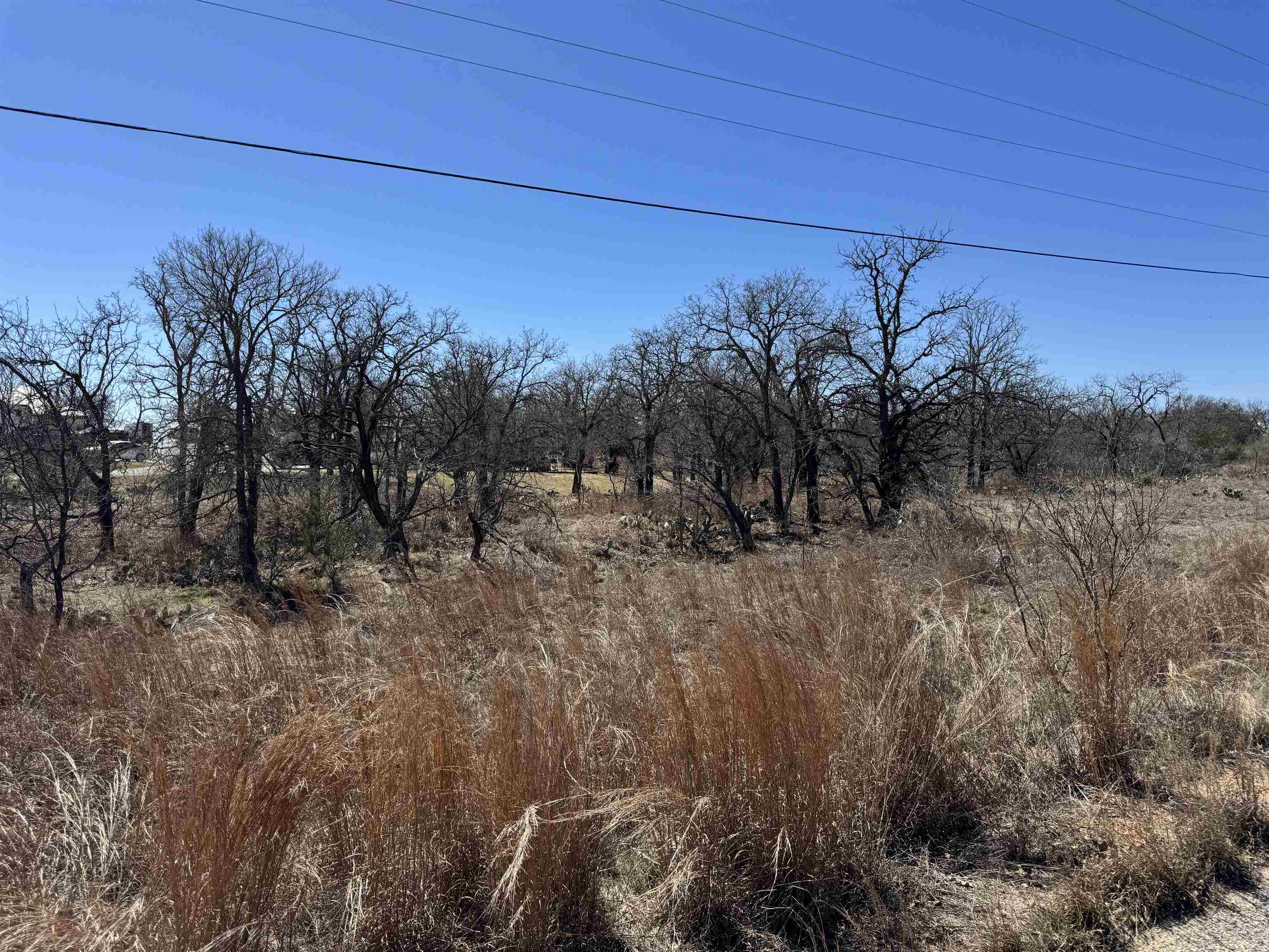 Lot 145 Woodlawn Drive Property Photo 7