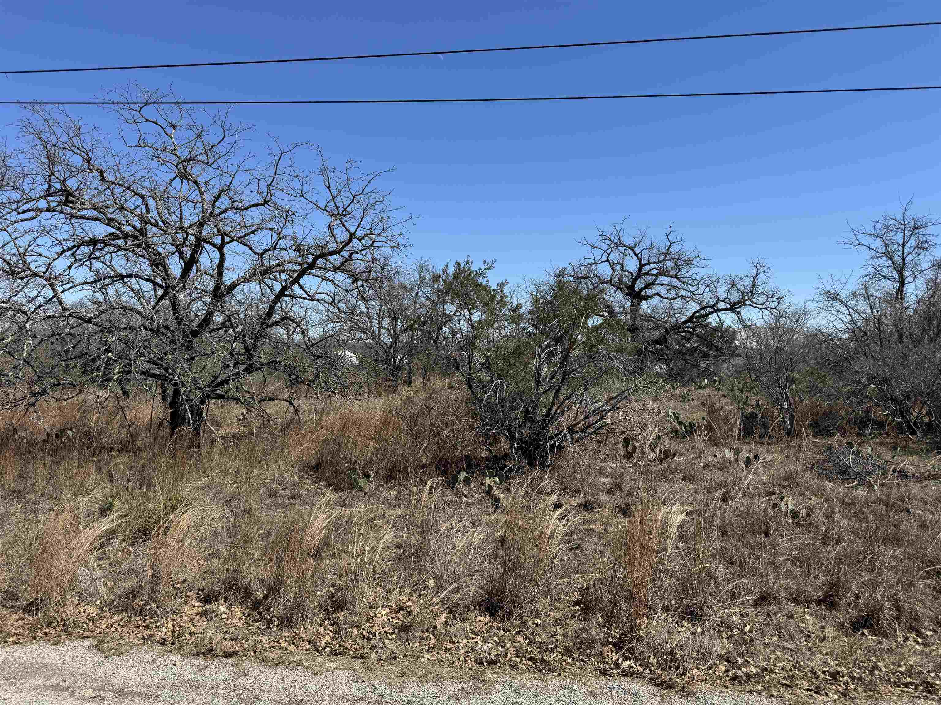 Lot 148 Woodlawn Drive Property Photo 8