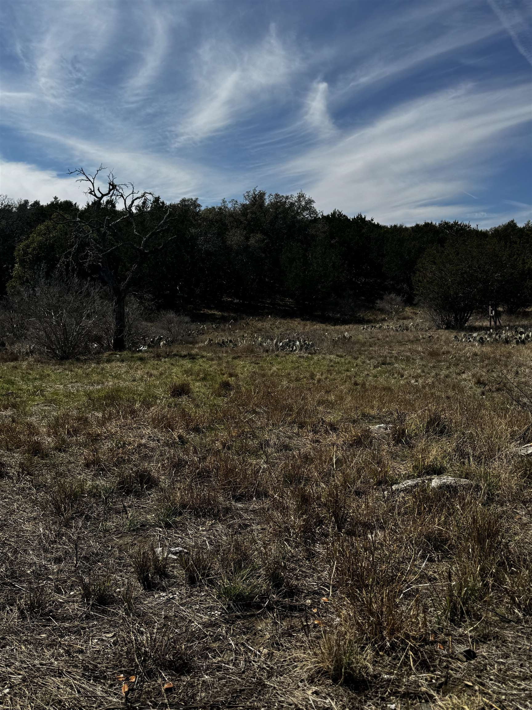 Lot 14047 Diamond Back Property Photo 4