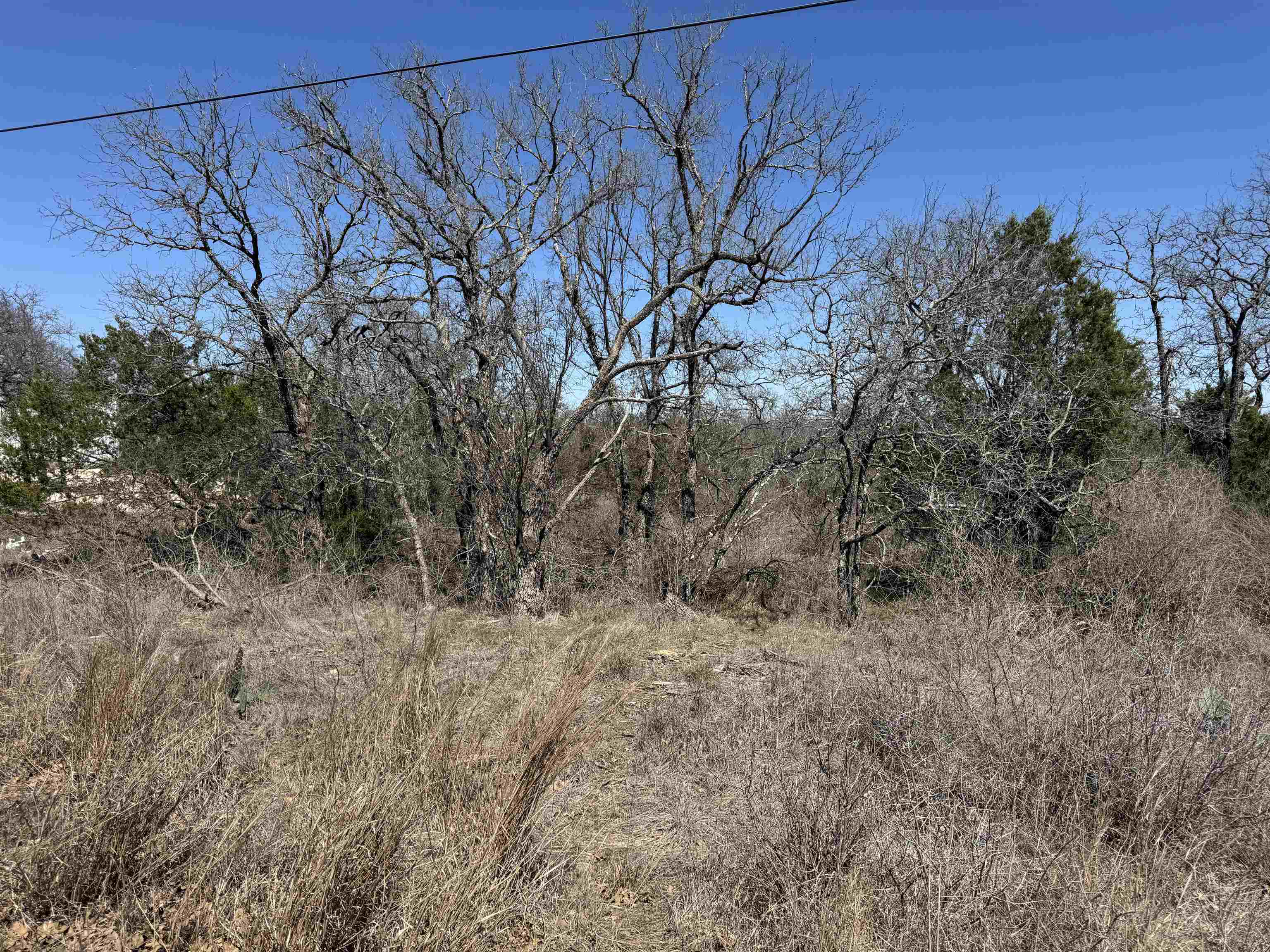 Lot 179 Longmont Drive Property Photo 1