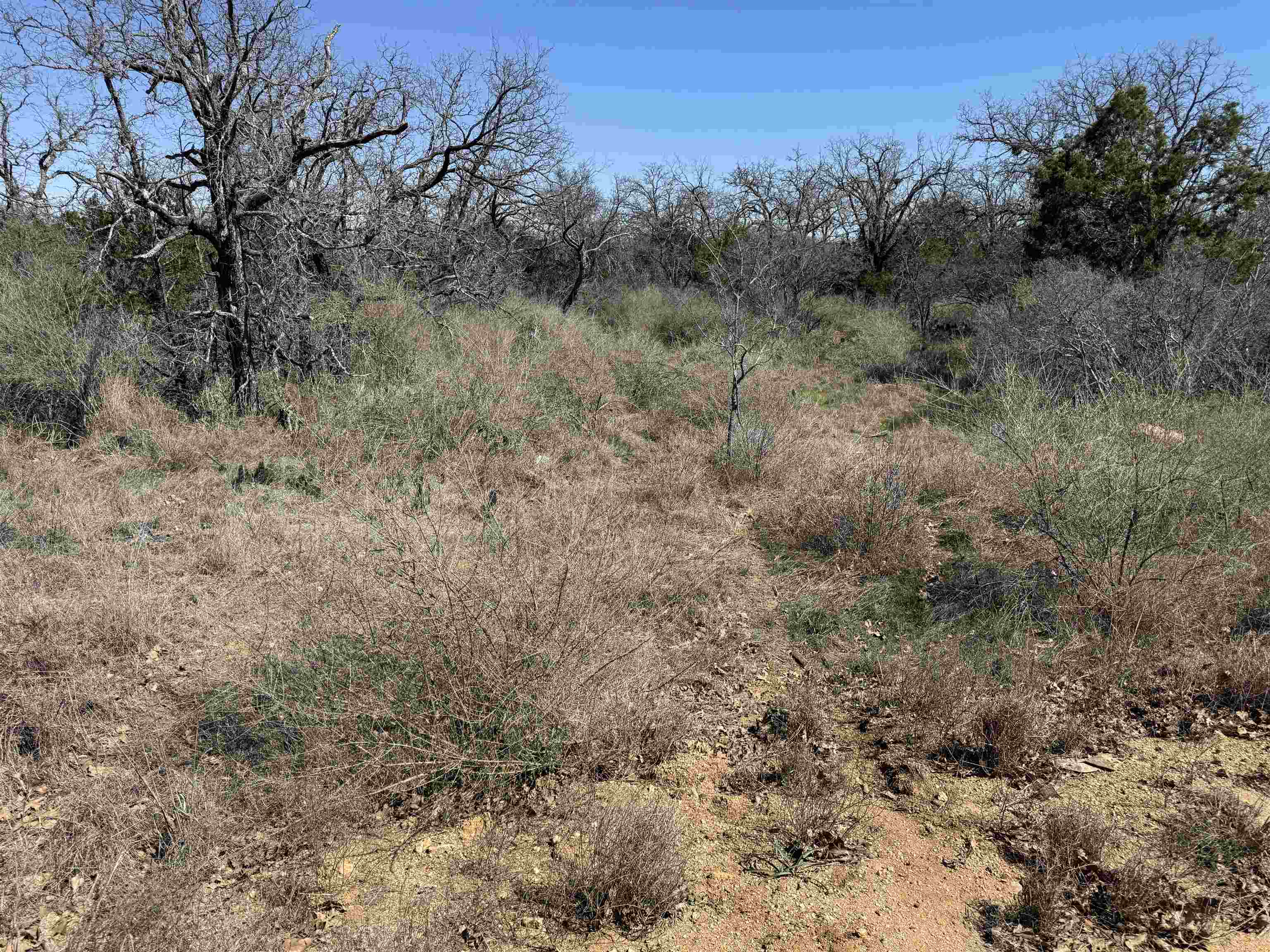 Lot 179 Longmont Drive Property Photo 4