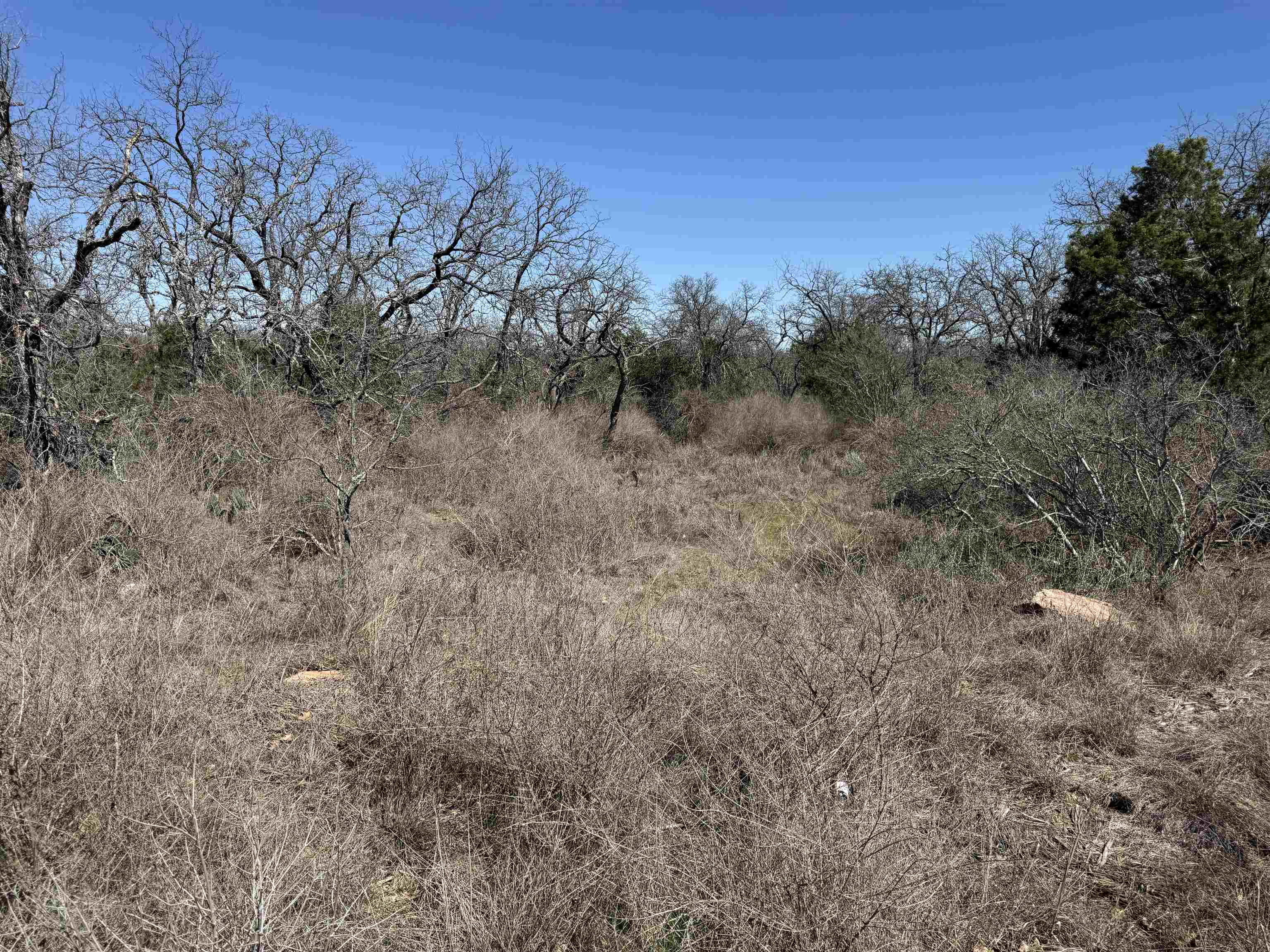 Lot 179 Longmont Drive Property Photo 5
