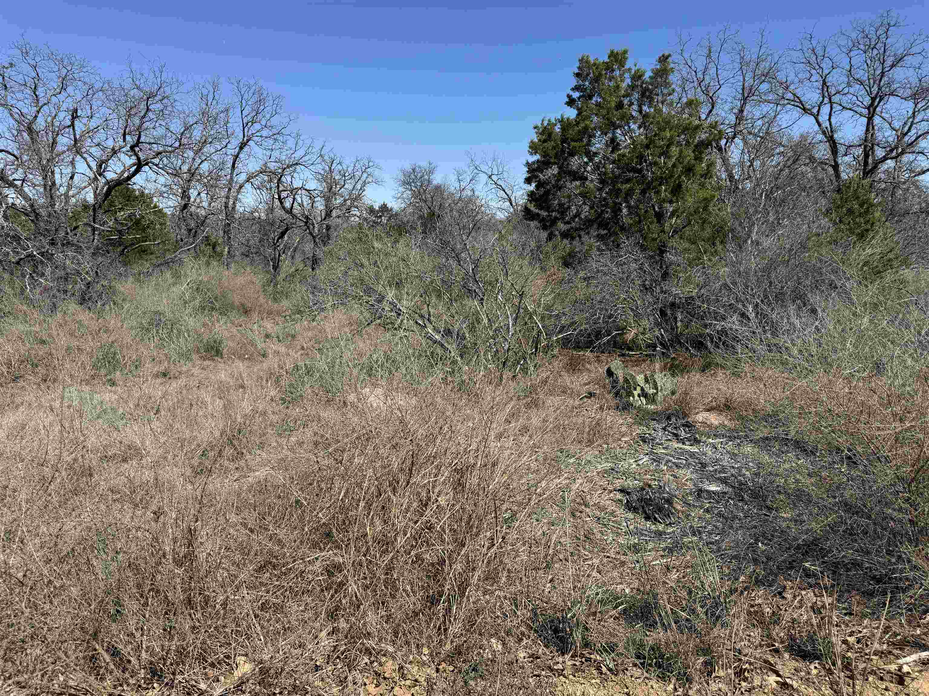 Lot 179 Longmont Drive Property Photo 6