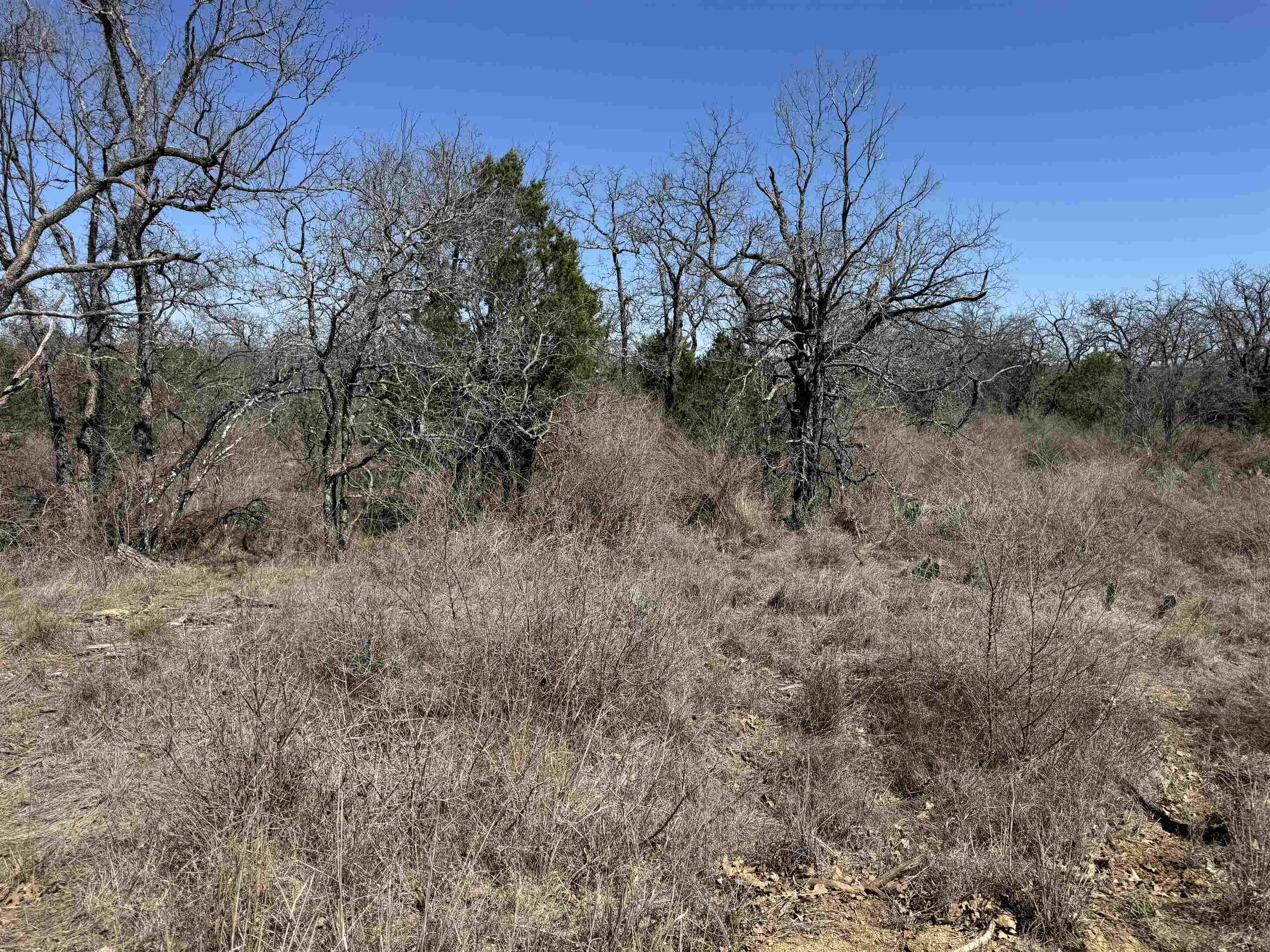 Lot 179 Longmont Drive Property Photo 7
