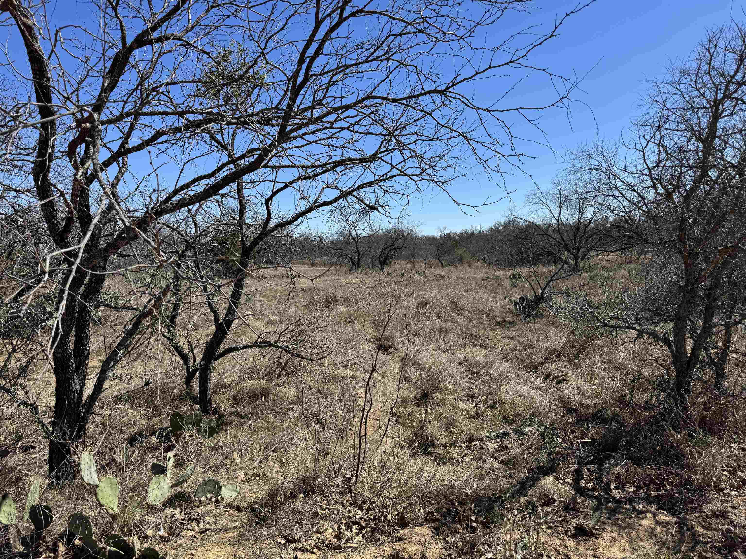Lot 128 Brent Drive Property Photo 1