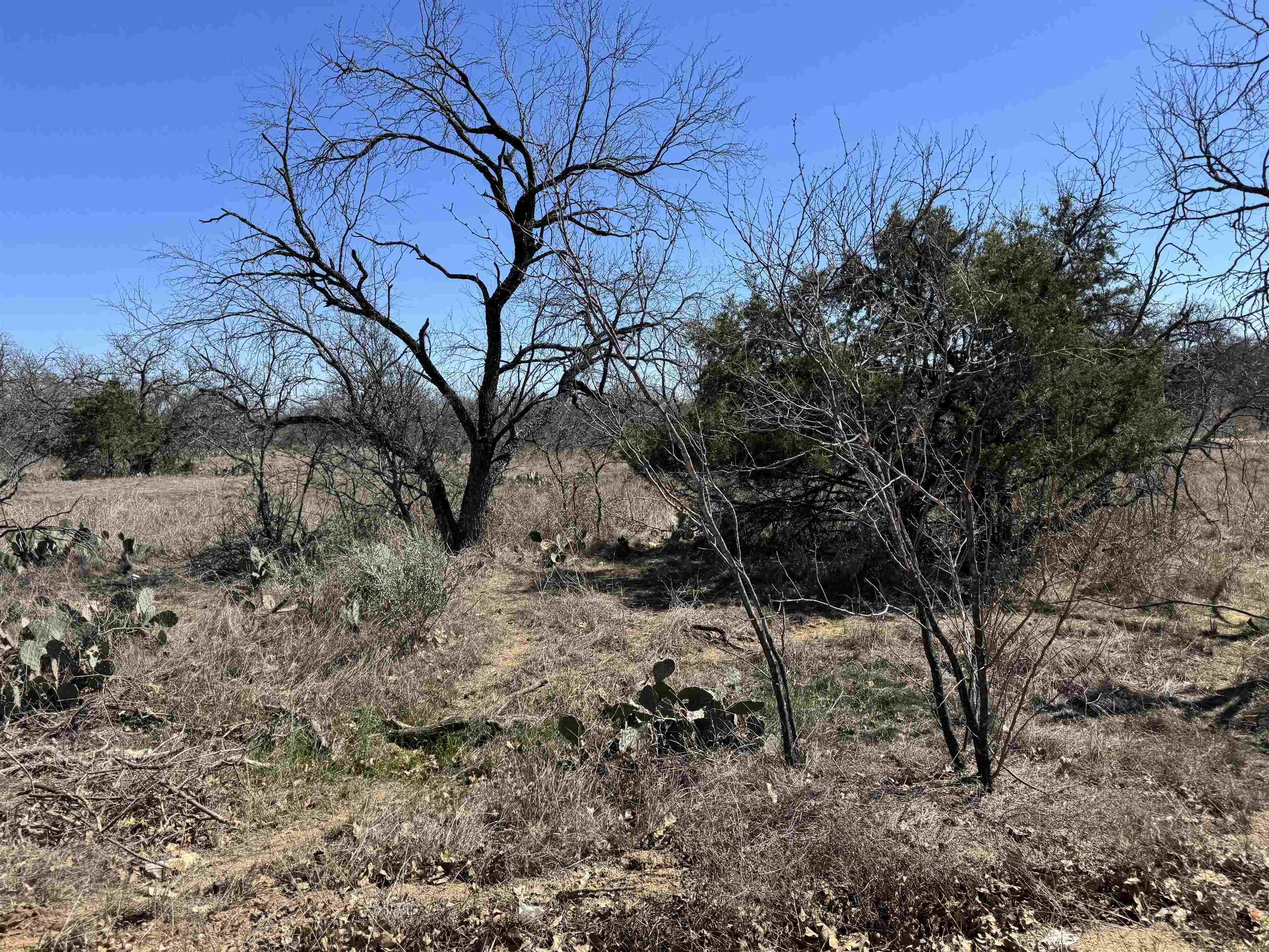 Lot 128 Brent Drive Property Photo 2