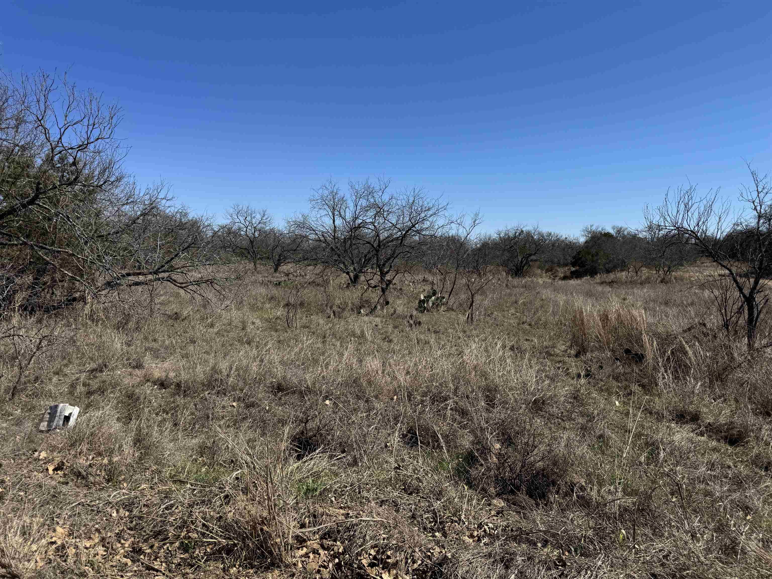 Lot 128 Brent Drive Property Photo 3