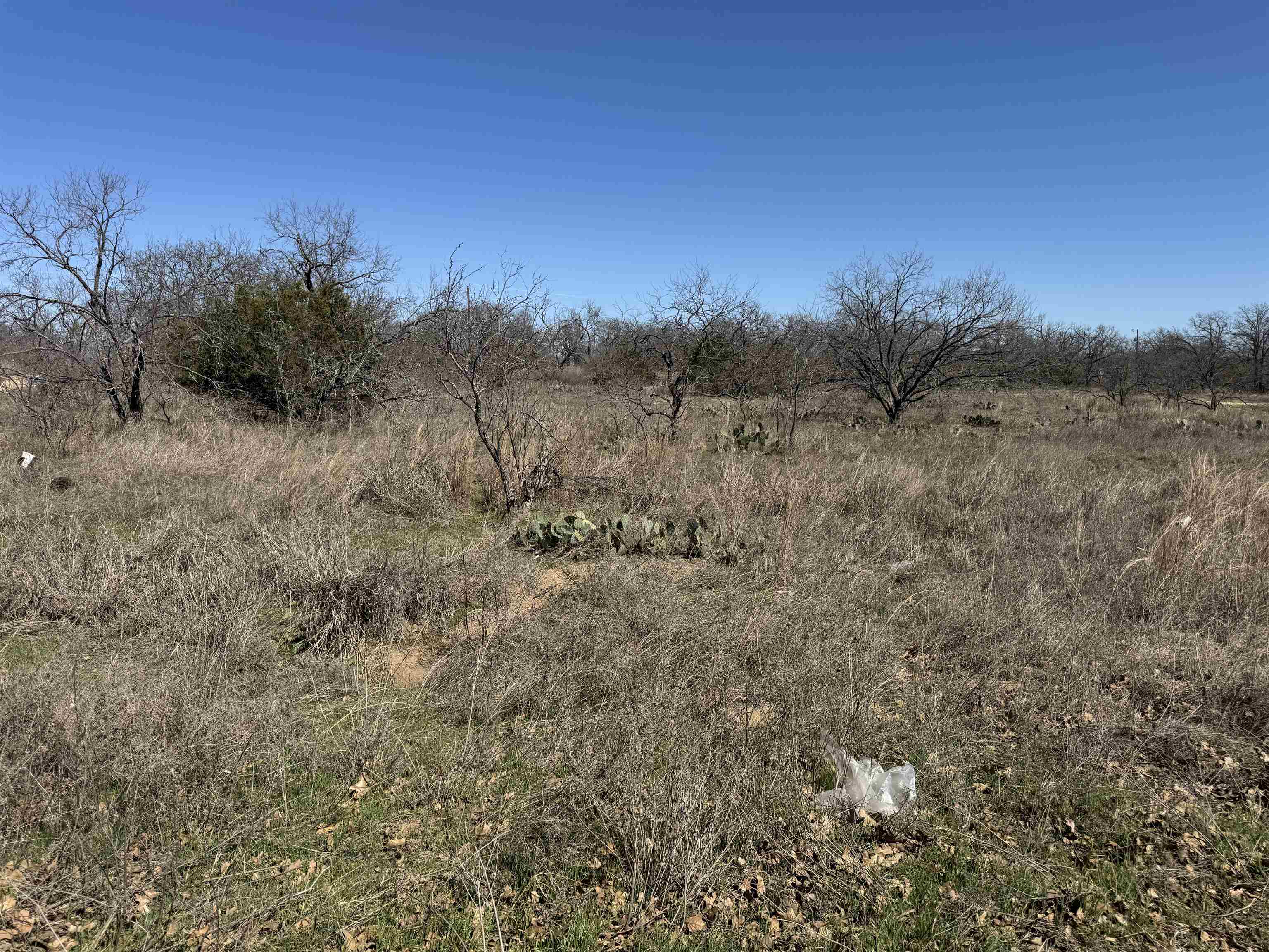 Lot 128 Brent Drive Property Photo 4