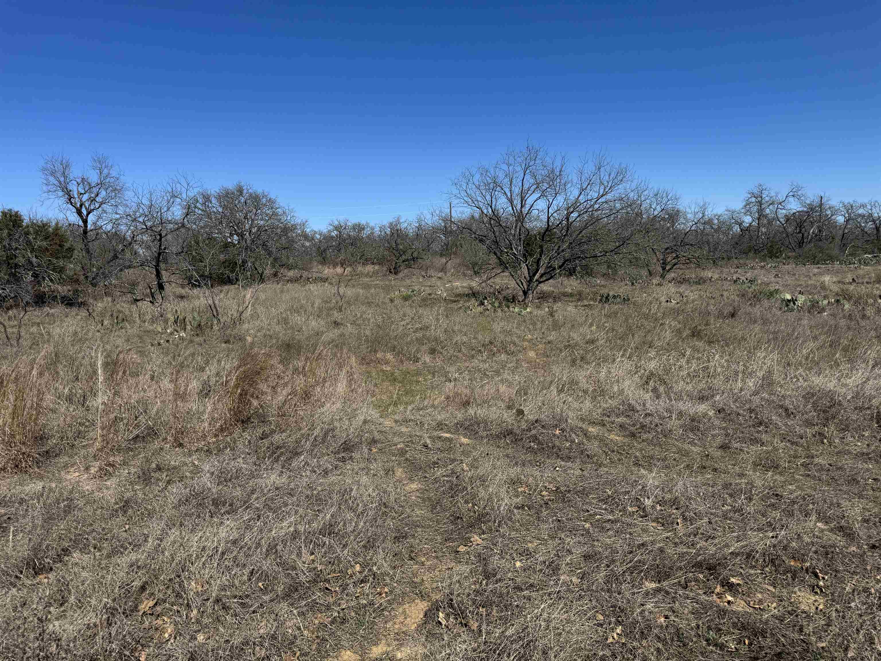 Lot 128 Brent Drive Property Photo 6