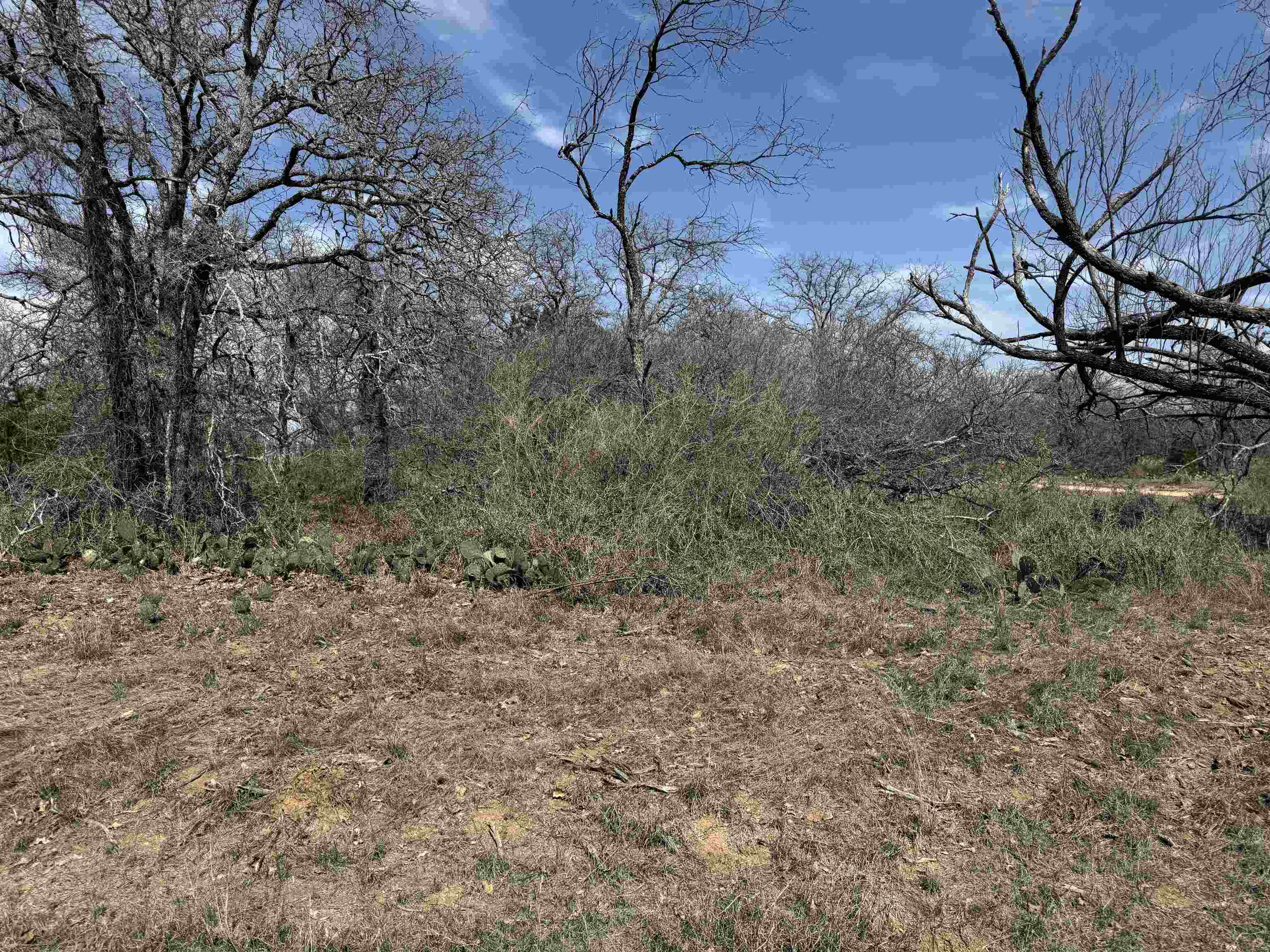 Lot 79 Ridgemont Drive Property Photo 2