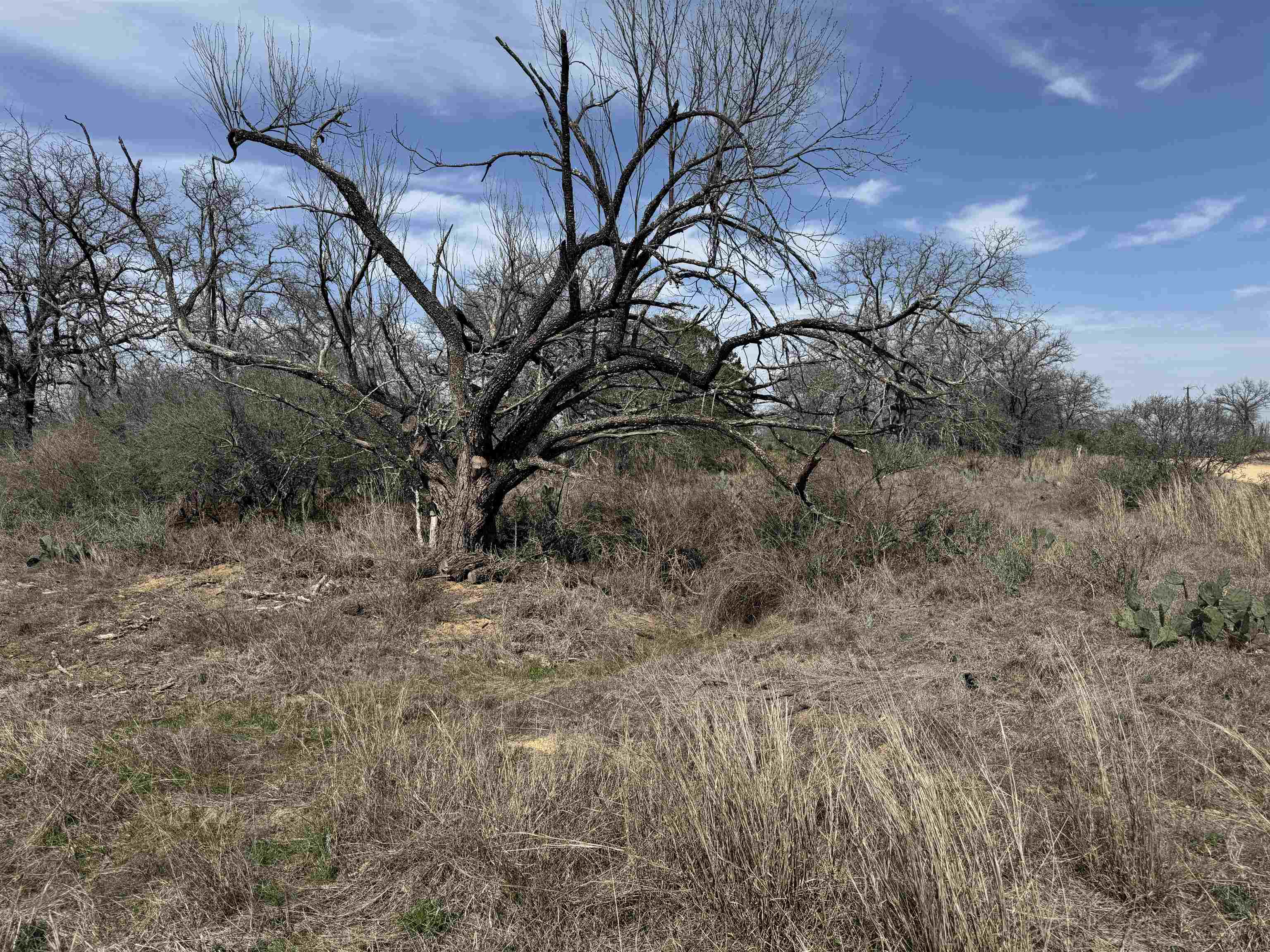 Lot 79 Ridgemont Drive Property Photo 3