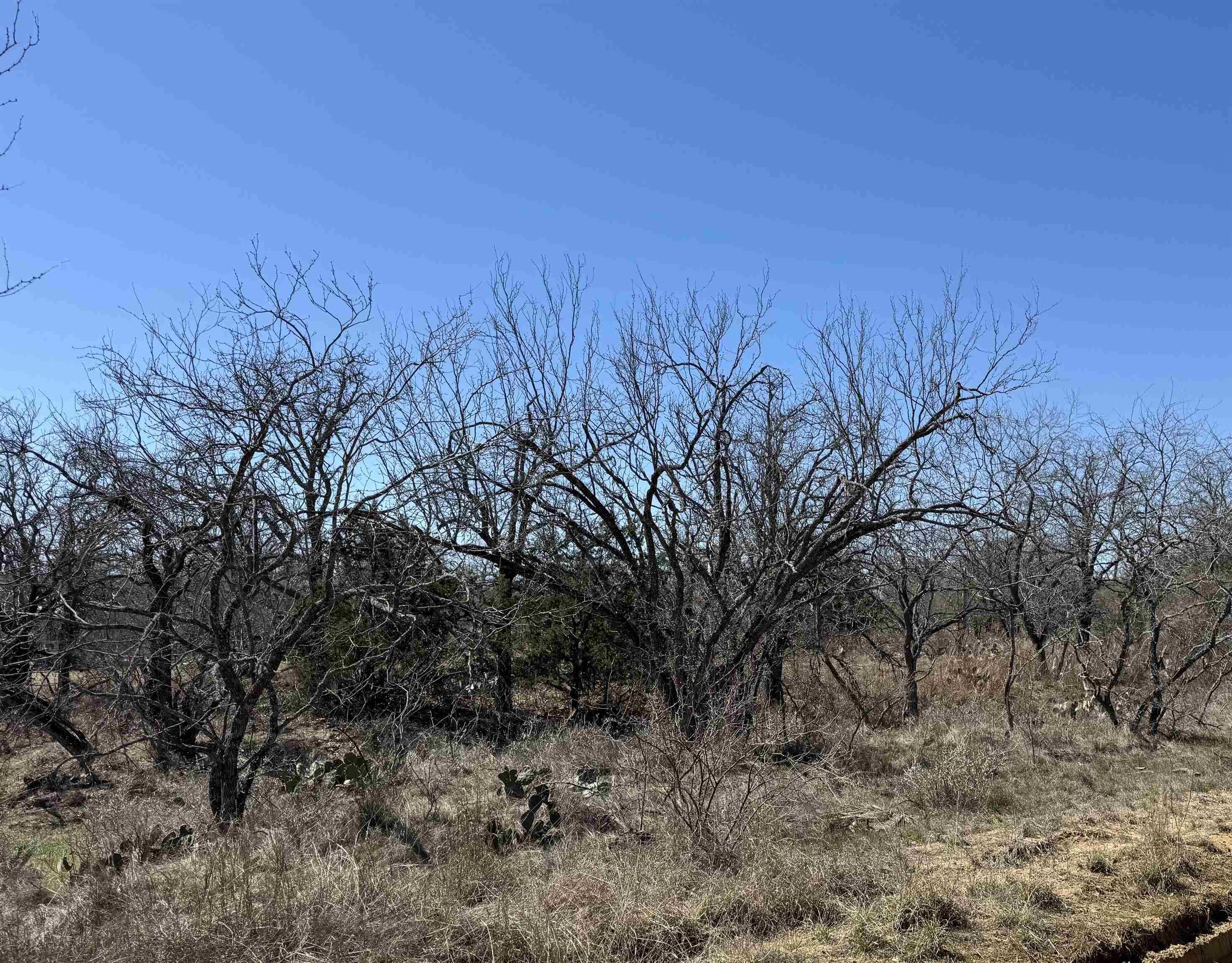 Lot 102 Ridgemont Drive Property Photo 1