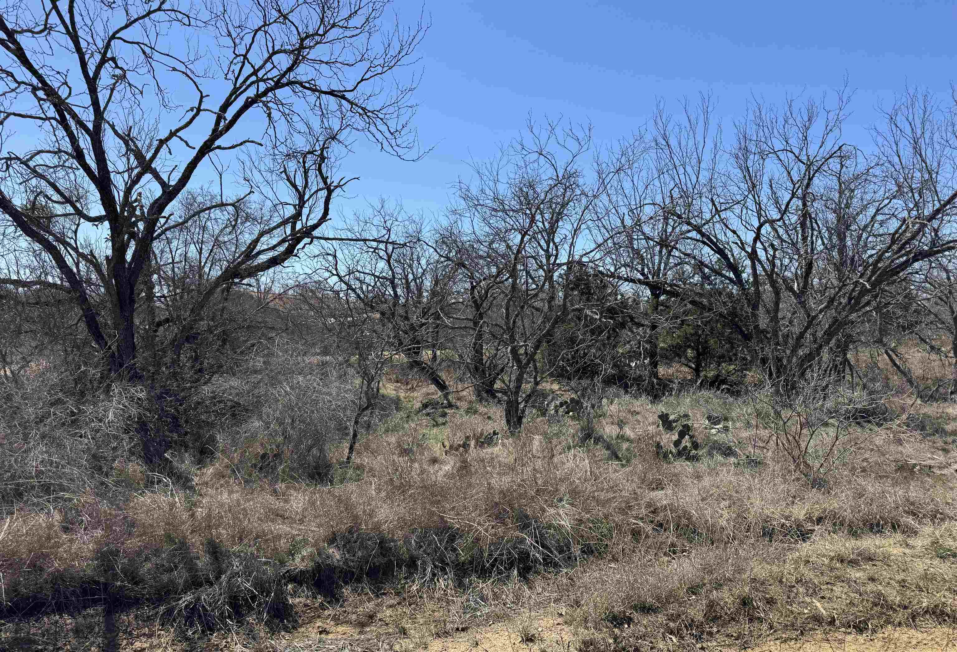 Lot 102 Ridgemont Drive Property Photo 2