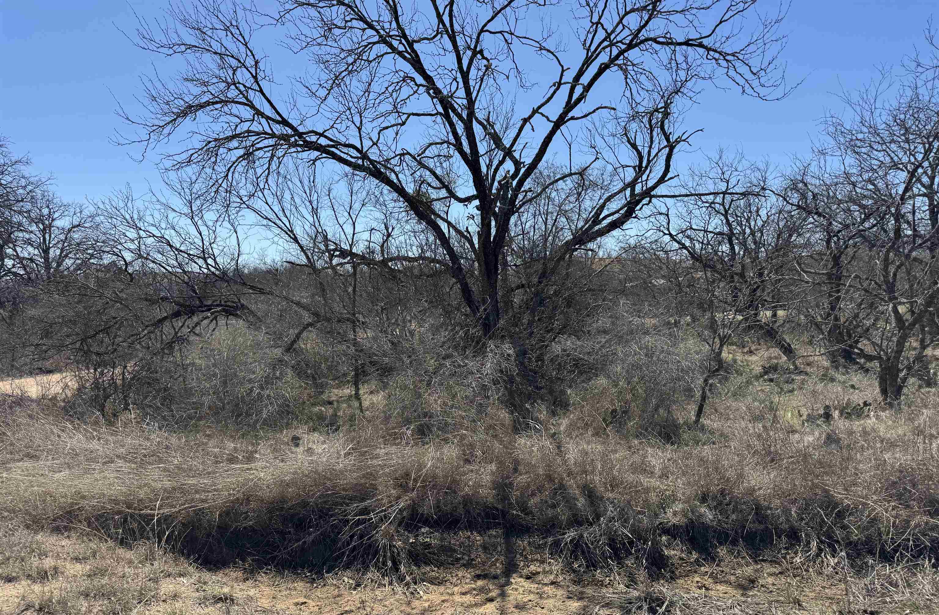 Lot 102 Ridgemont Drive Property Photo 3