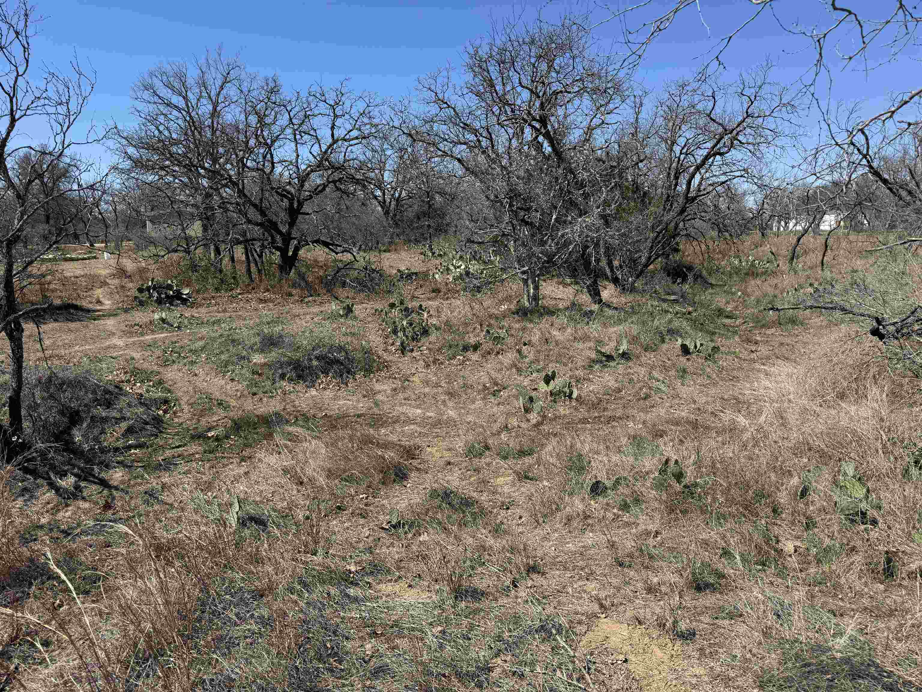 Lot 102 Ridgemont Drive Property Photo 4