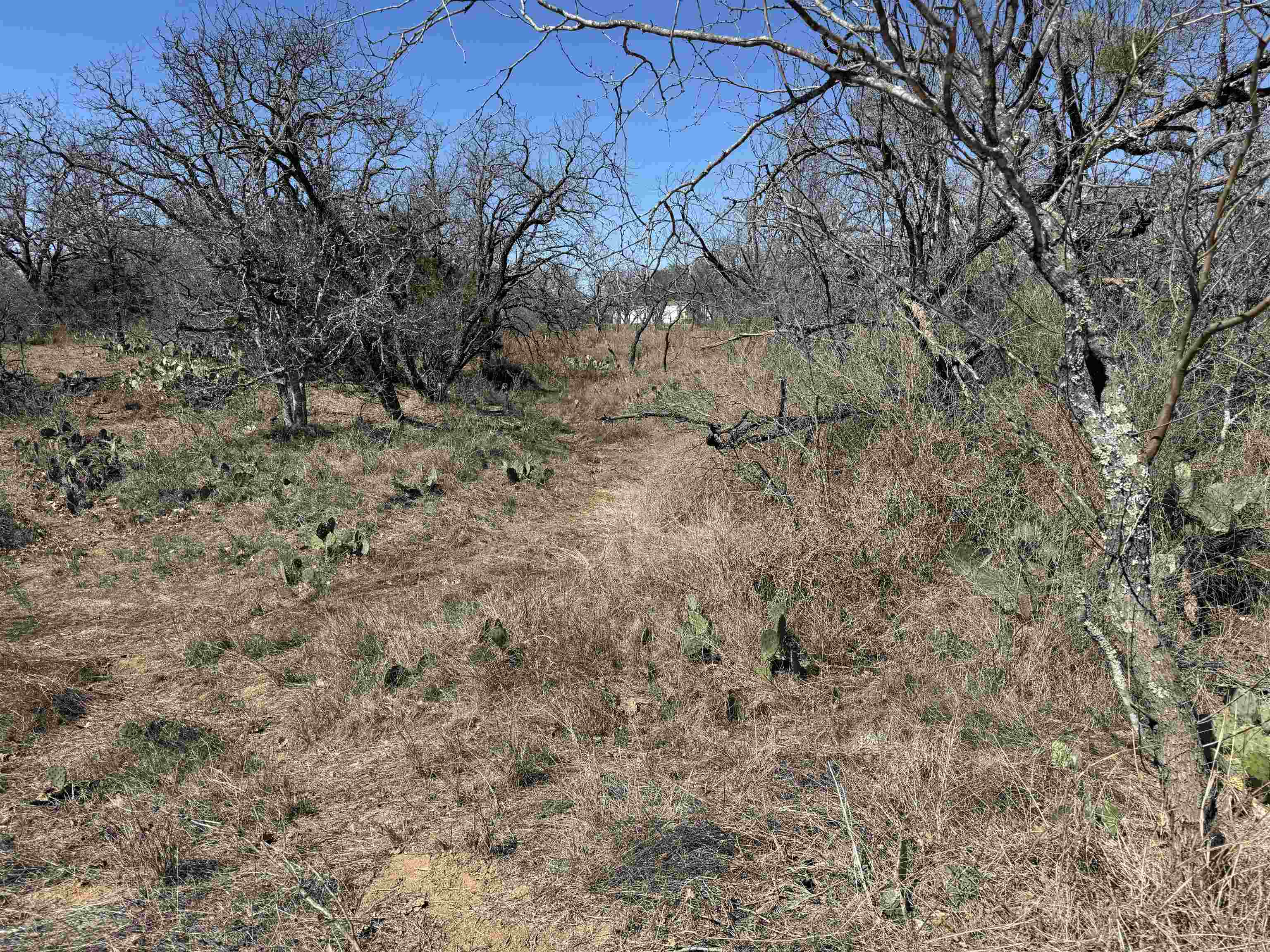 Lot 102 Ridgemont Drive Property Photo 5