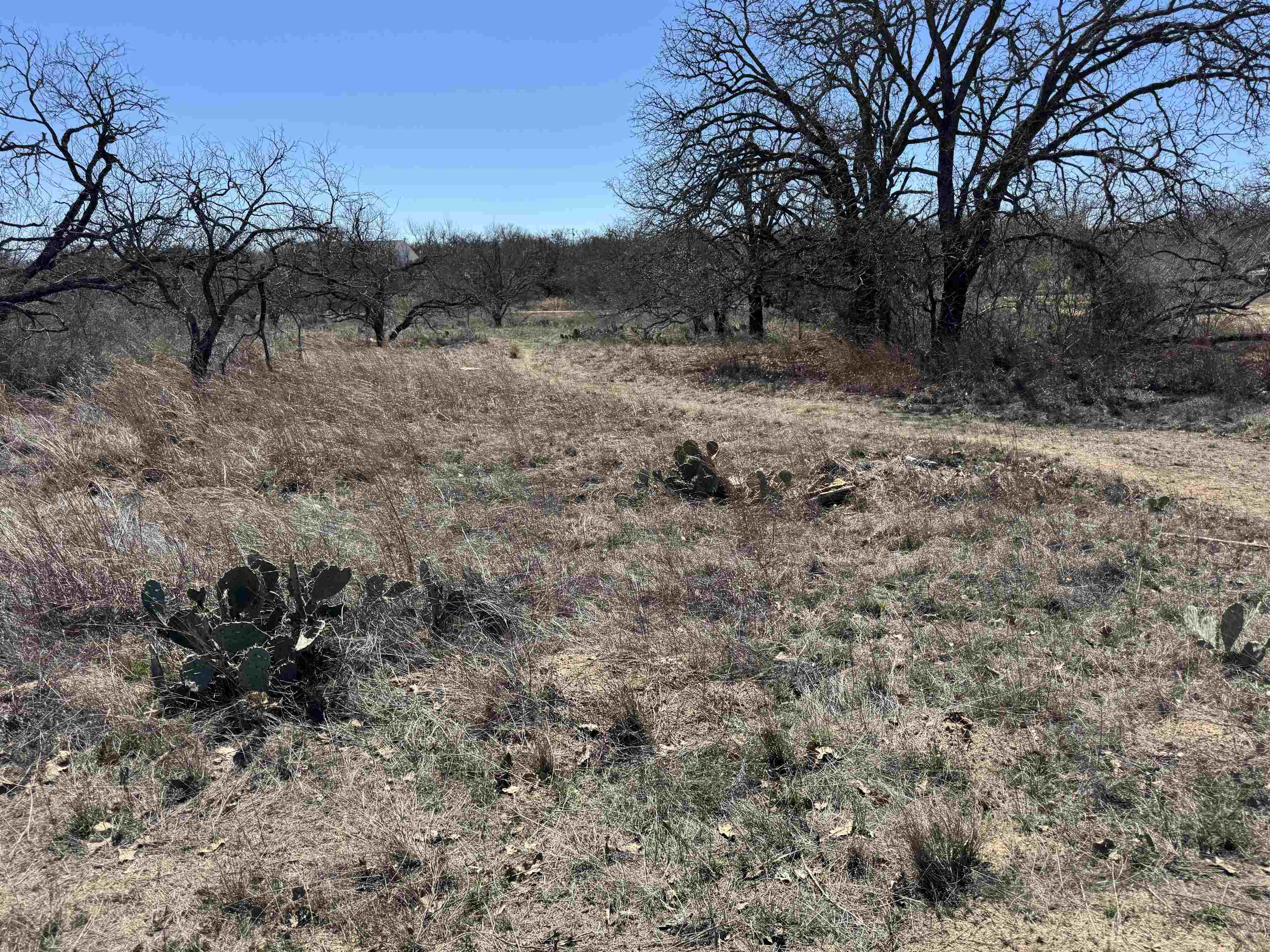 Lot 103 Ridgemont Drive Property Photo 2