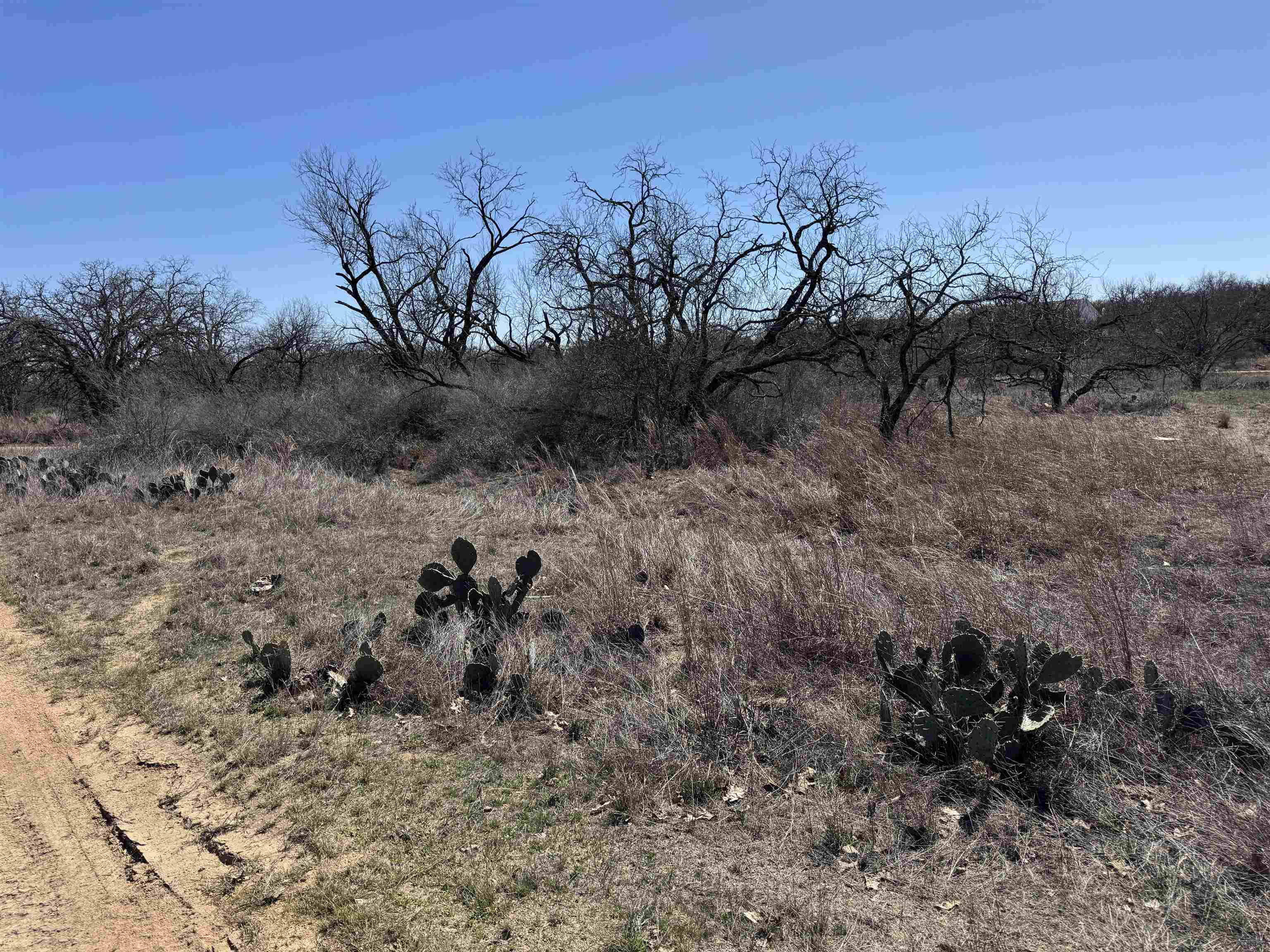 Lot 103 Ridgemont Drive Property Photo 3