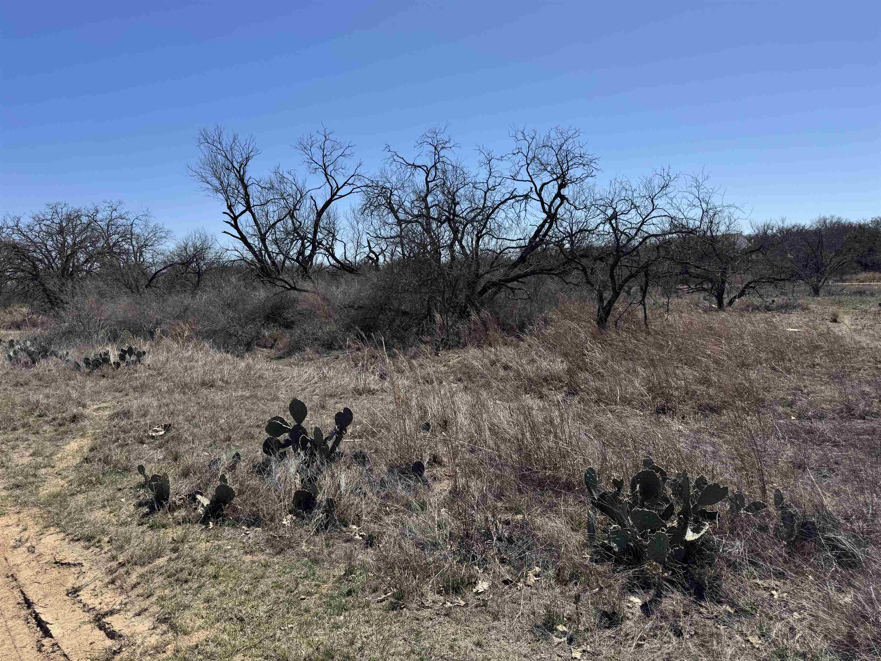 Lot 103 Ridgemont Drive Property Photo 4